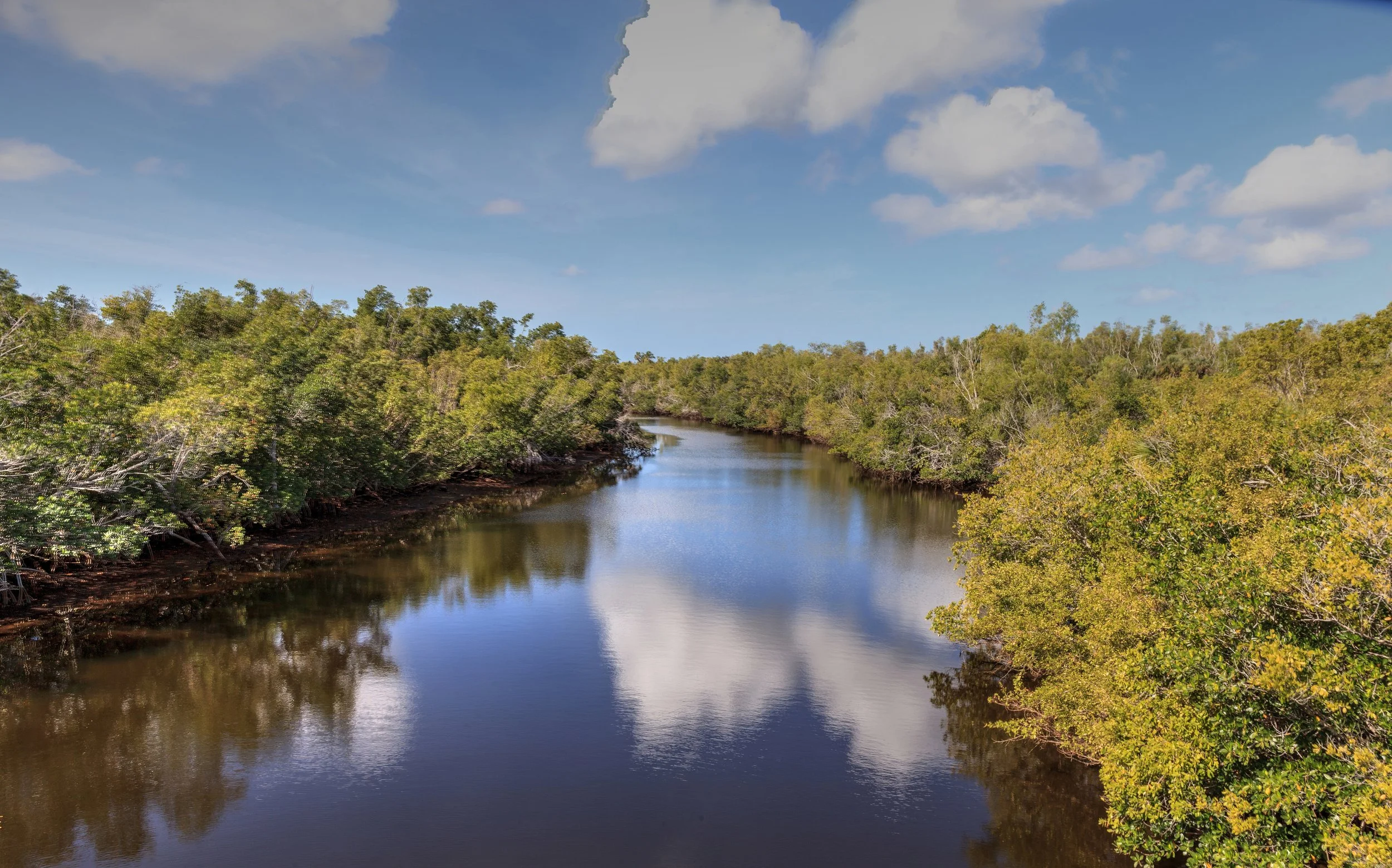 Peaceful coastal waterway winding through lush green mangrove forests beneath a blue sky.