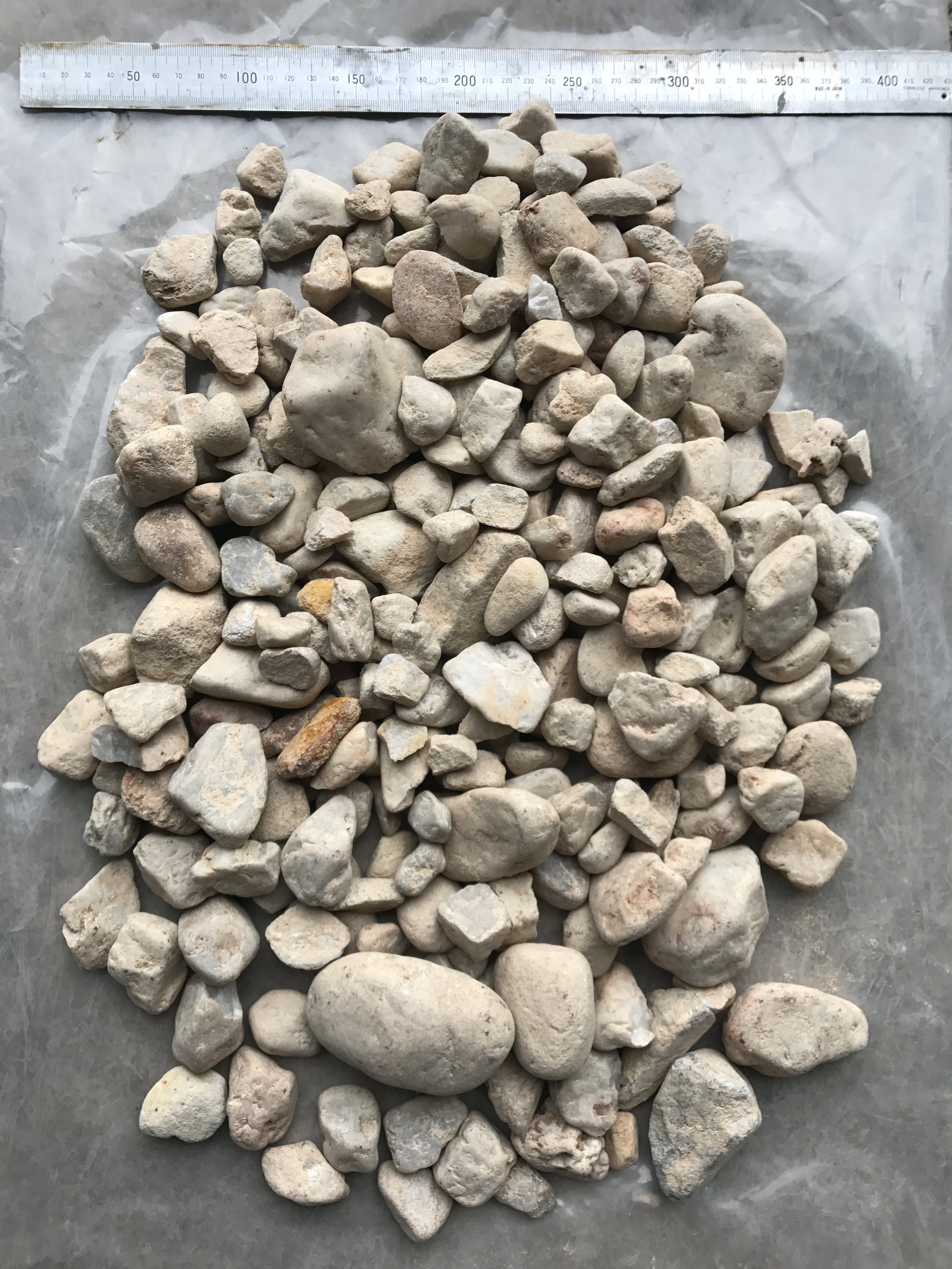White pebble.JPG