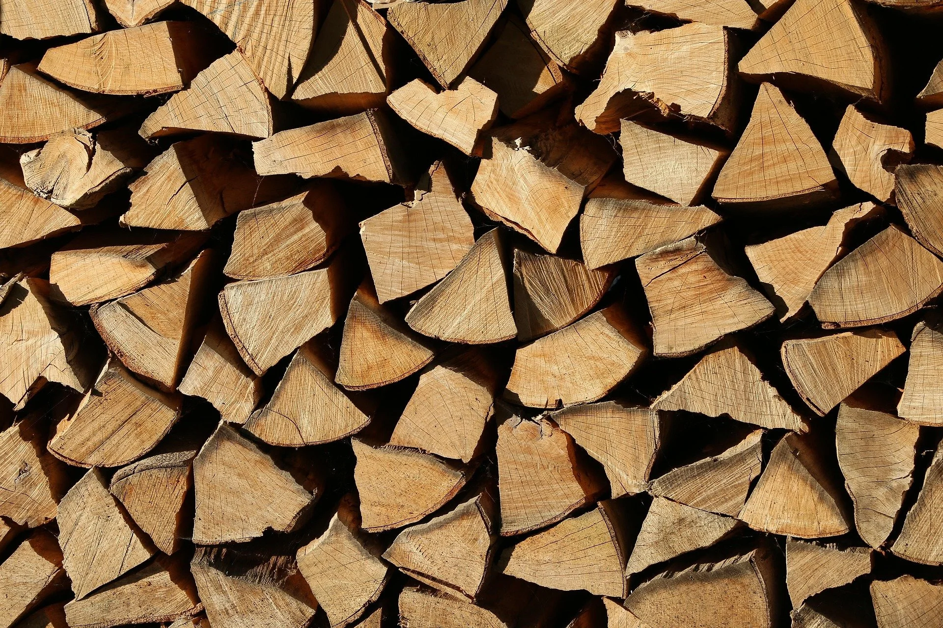 Stacked firewood logs arranged in a pile, showing cut surfaces and natural wood texture.