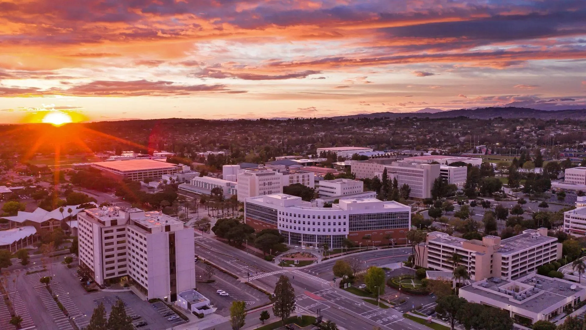 Iheartkush: Your Premier Cannabis Delivery Service in Fullerton