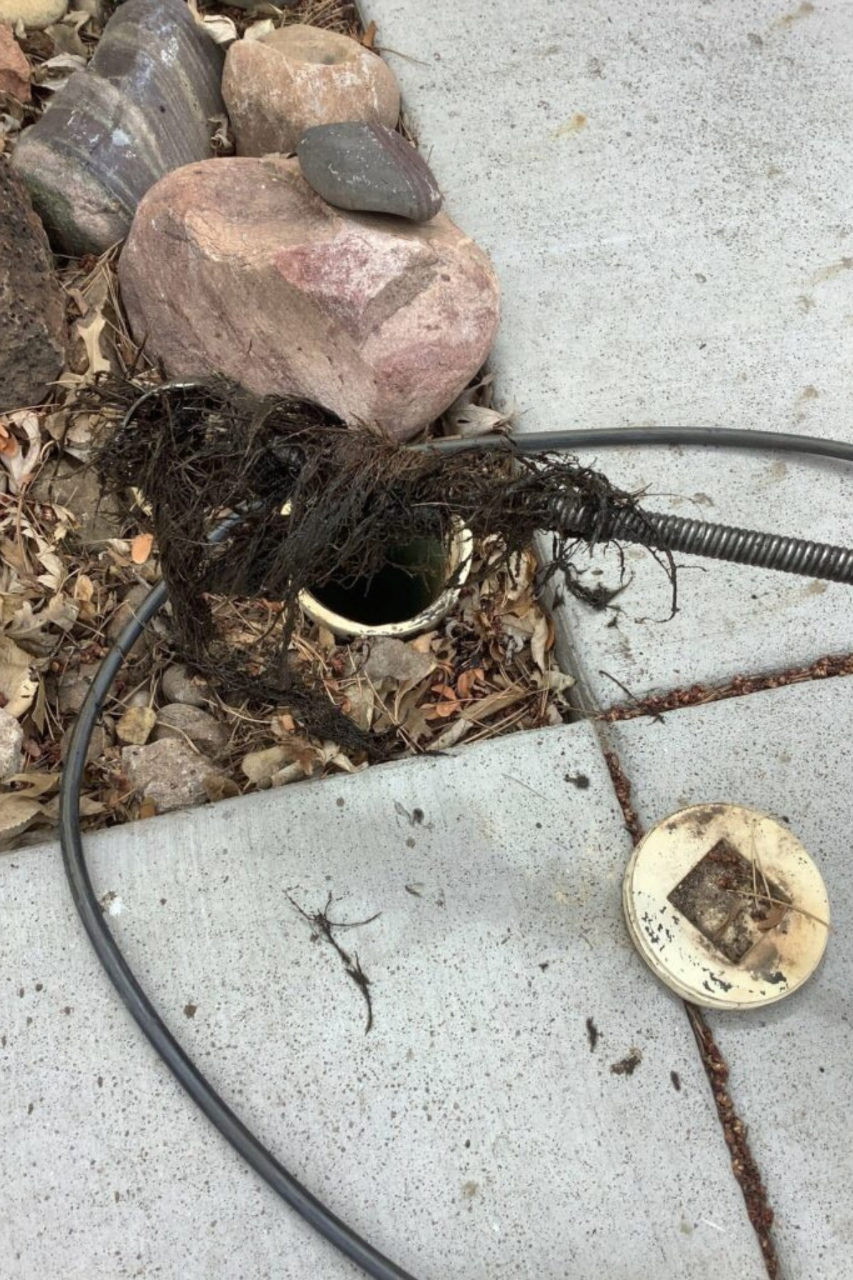 Sewer Line Cleaning