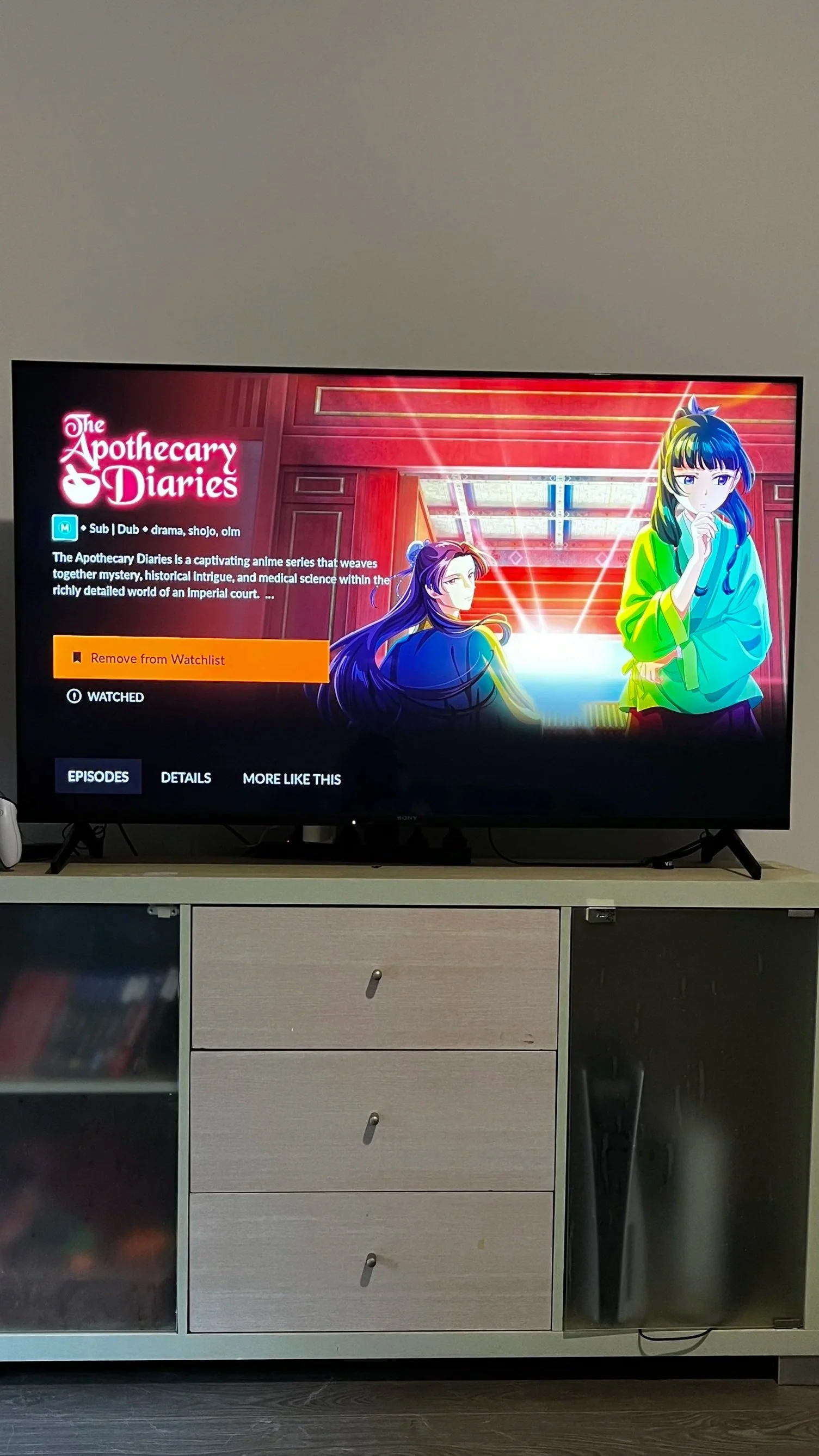 Television screen displaying the anime series 'The Apothecary Diaries' with animated characters in a red wooden interior background.