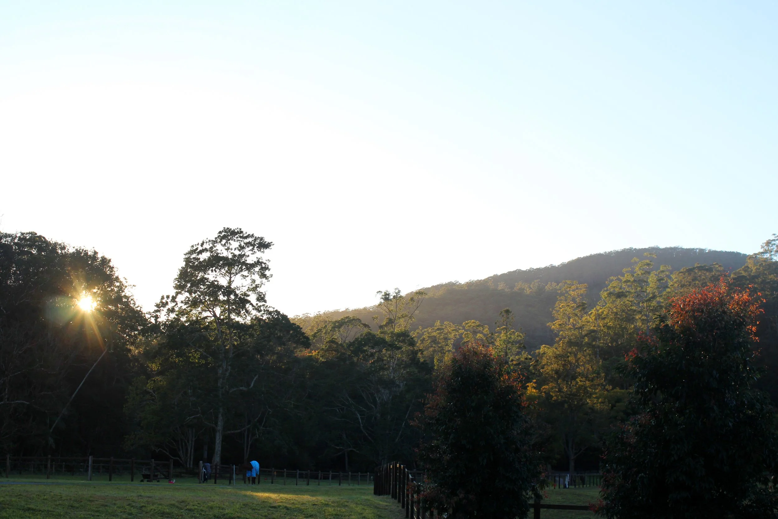 Sunrise over a lush forested mountain landscape with a grassy park in the foreground