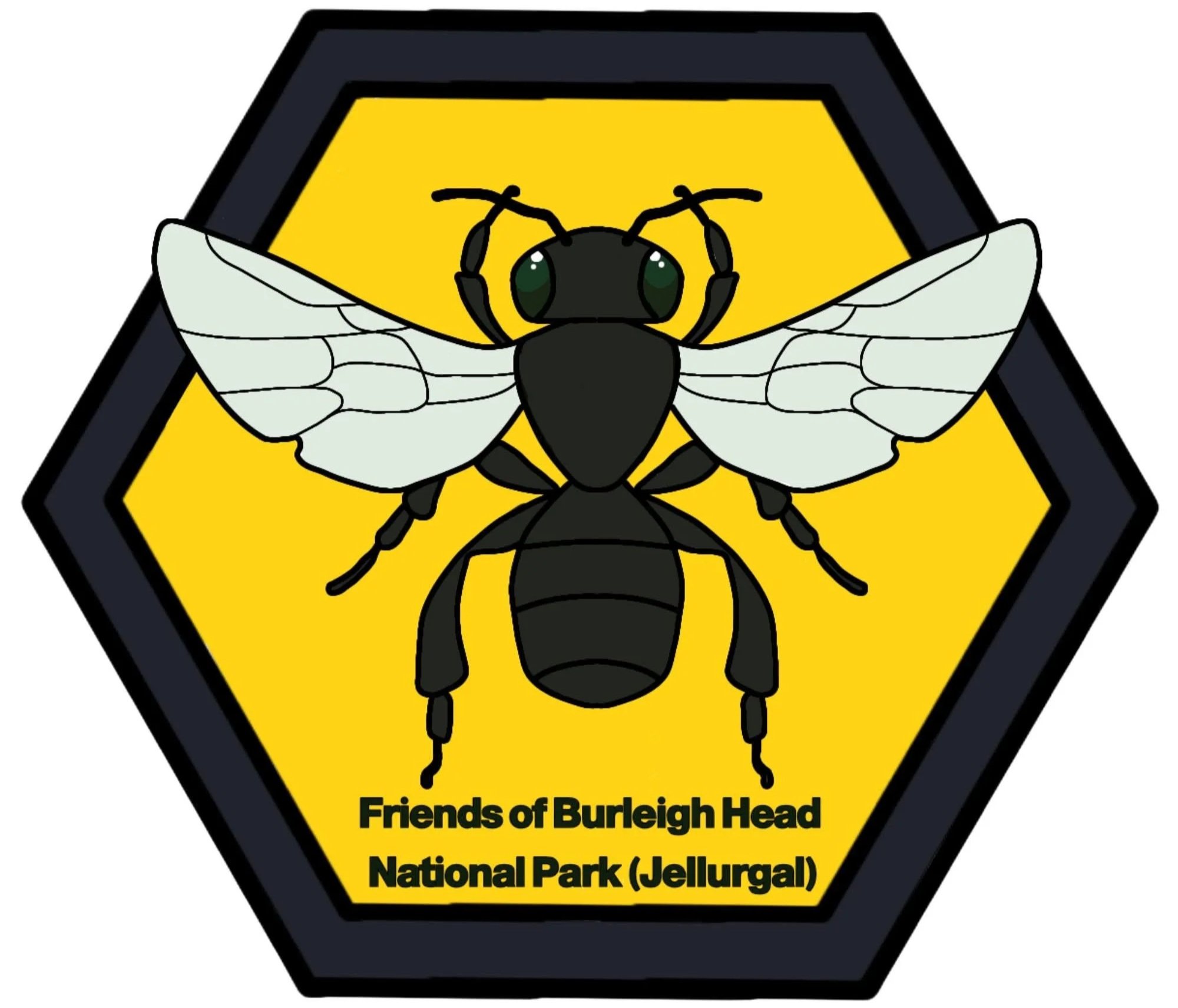 Illustration of a native sugarbag bee on a yellow hexagonal badge labeled “Friends of Burleigh Head National Park (Jellurgal).”