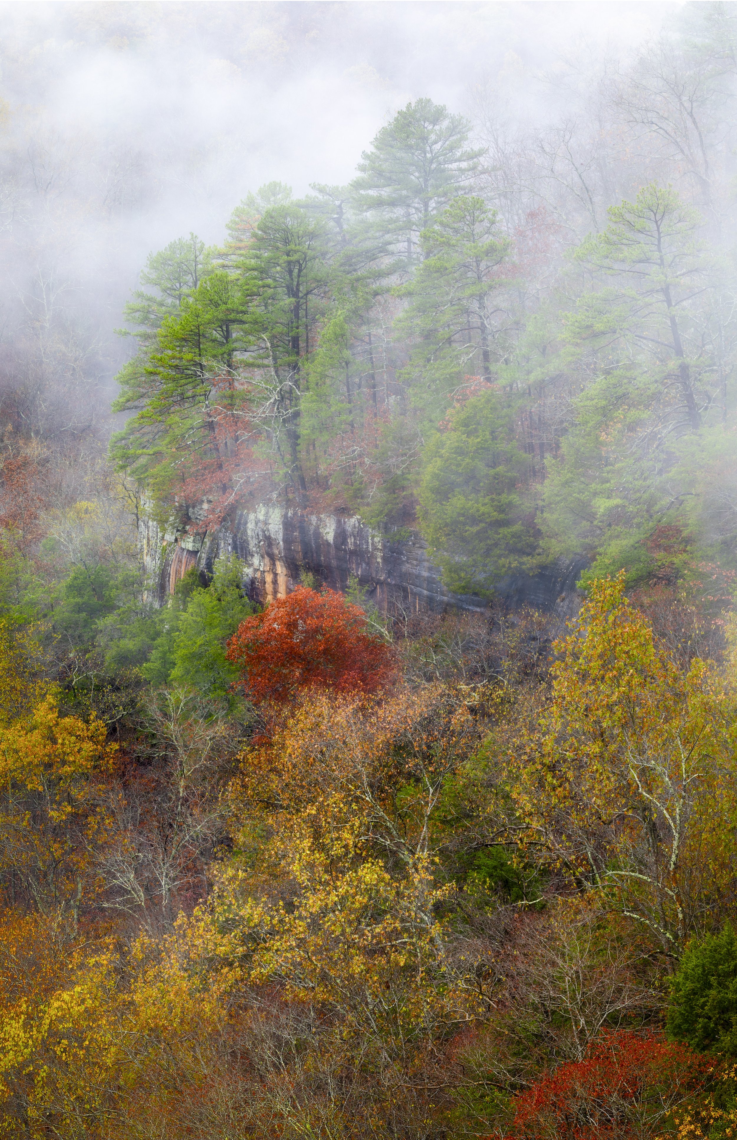 Kings River Overlook, AR