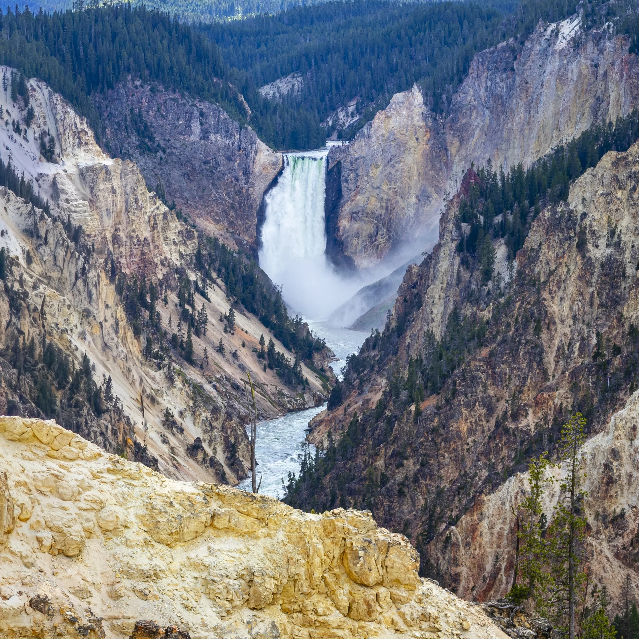 Lower Falls - Yellowstone National Park, WY