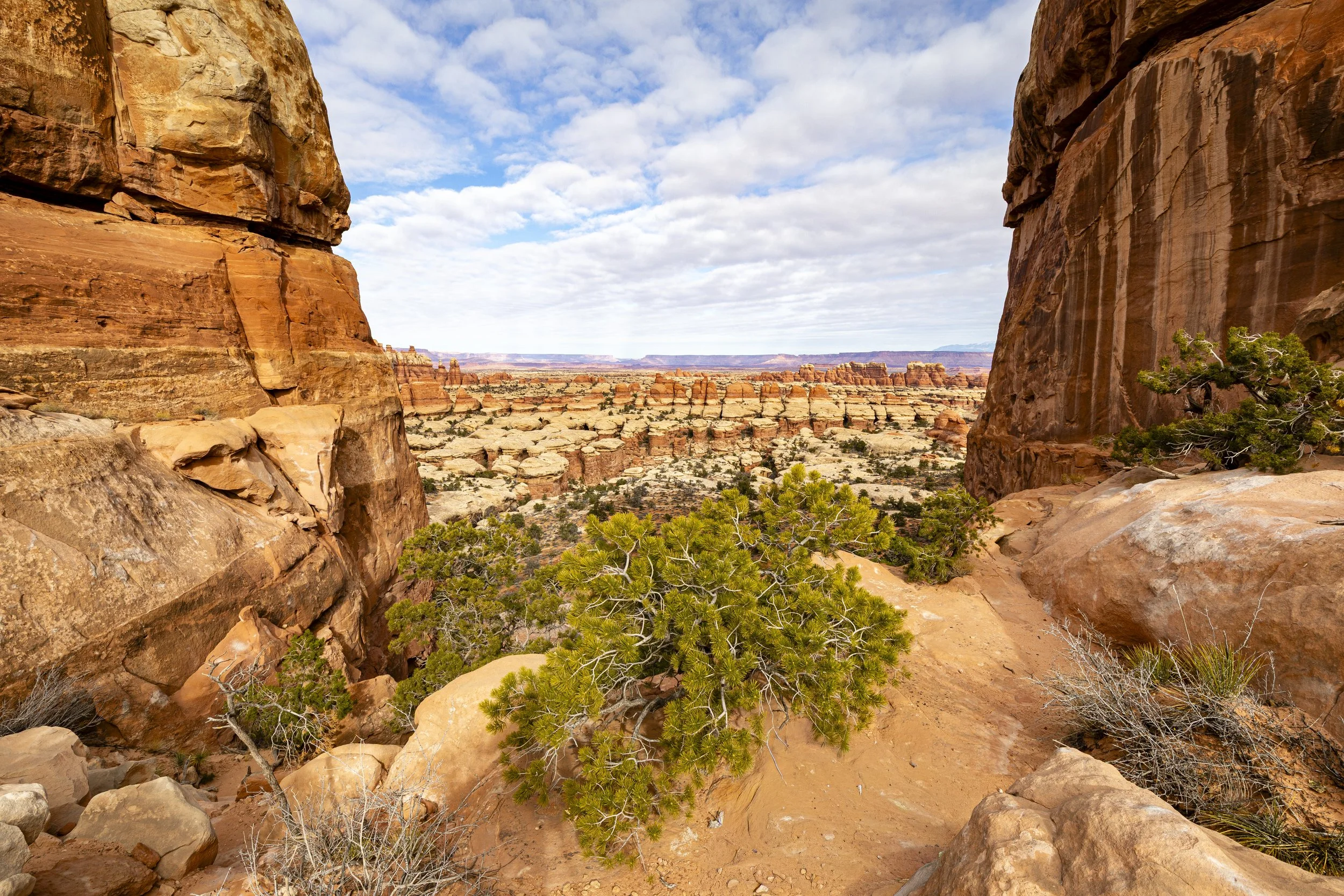 Canyonlands National Park, UT