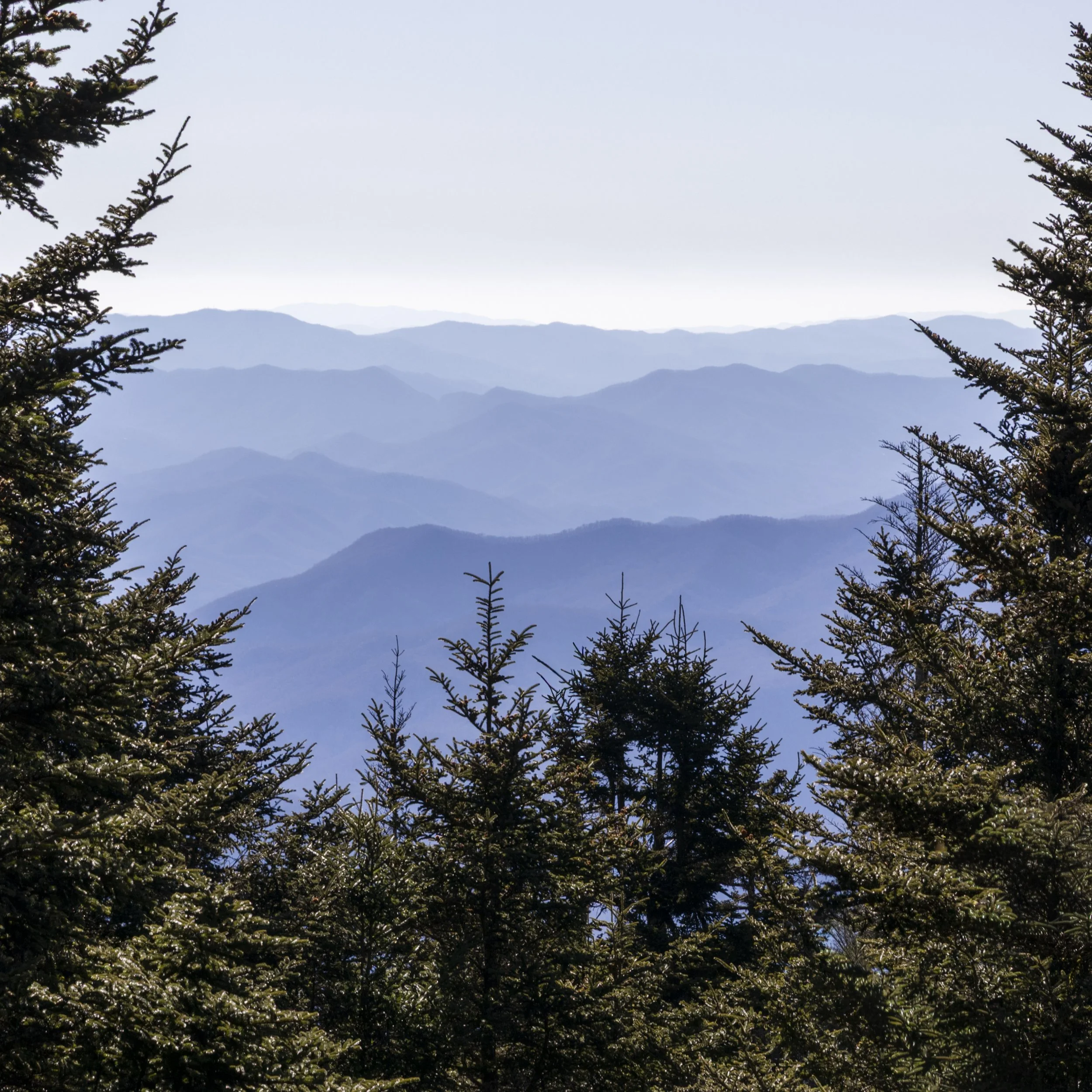 Great Smoky Mountains National Park, TN