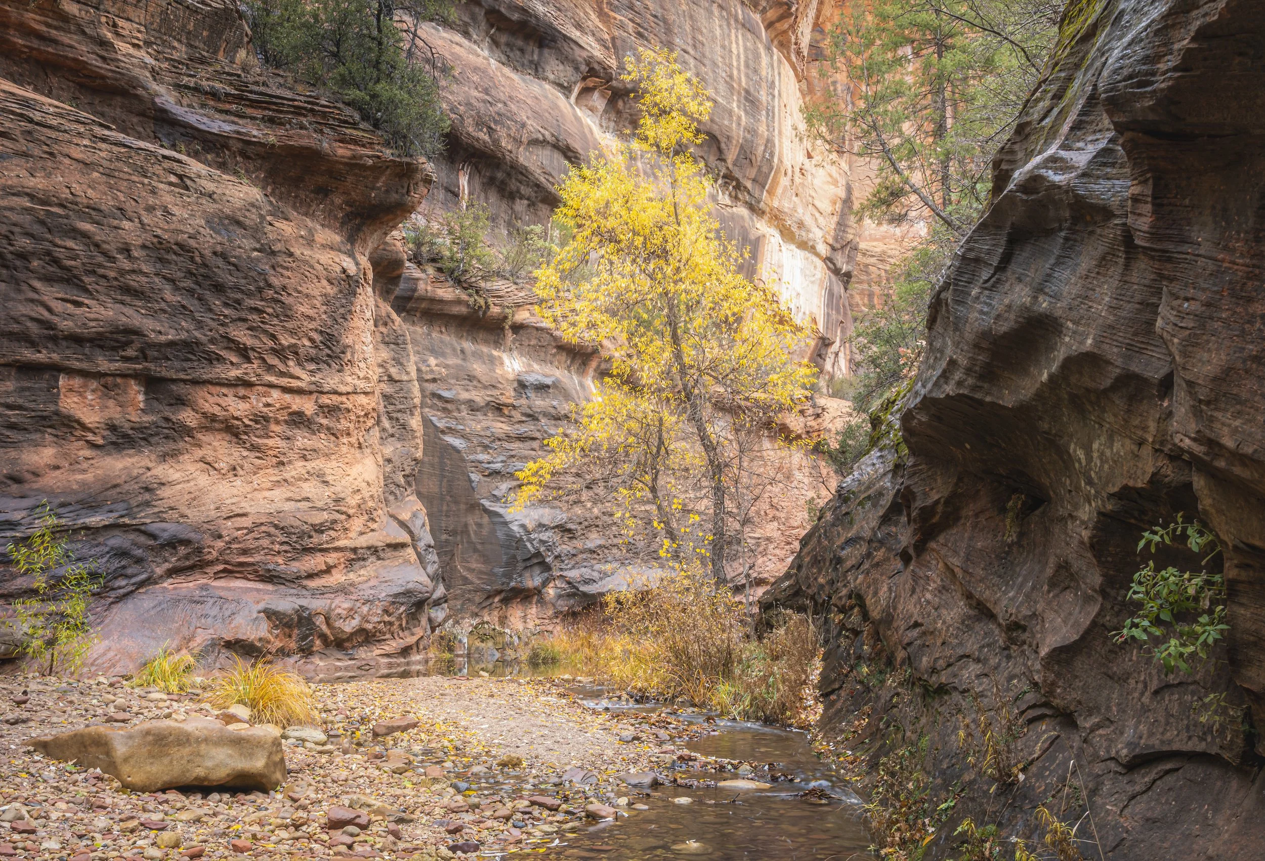 Sedona, AZ