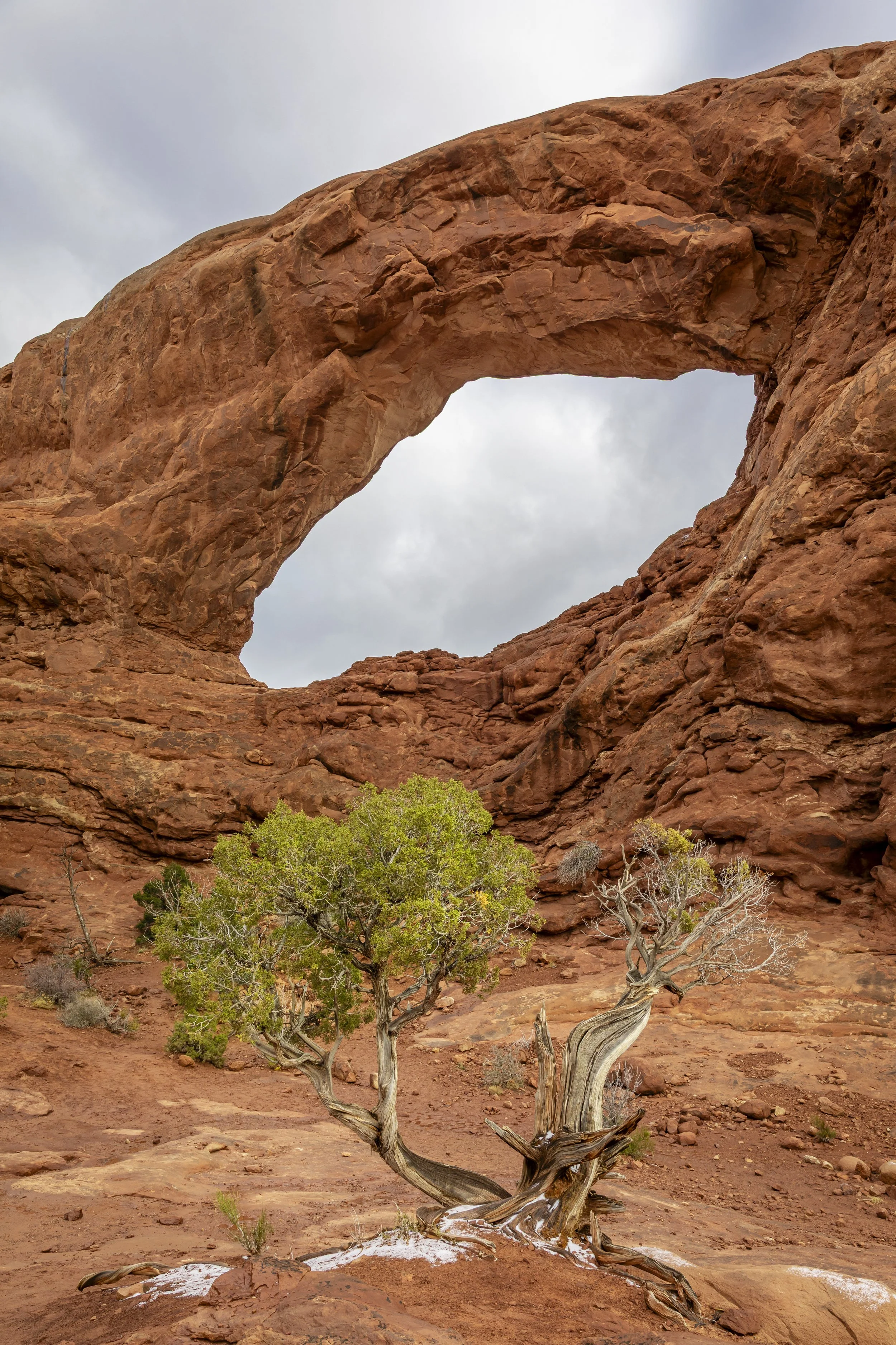 Arches National Park, UT