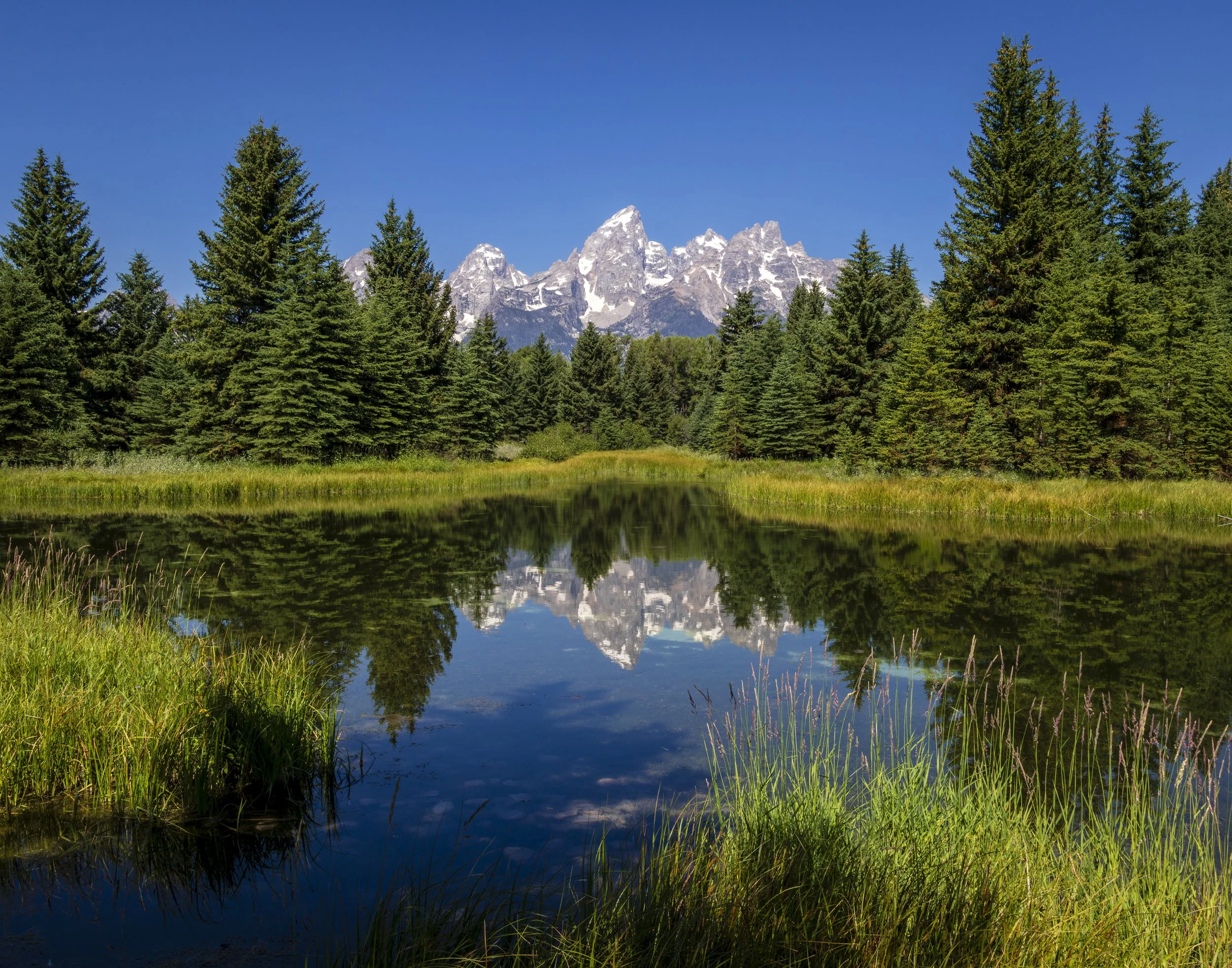 Grand Teton National Park, WY - Schwabacher Landing
