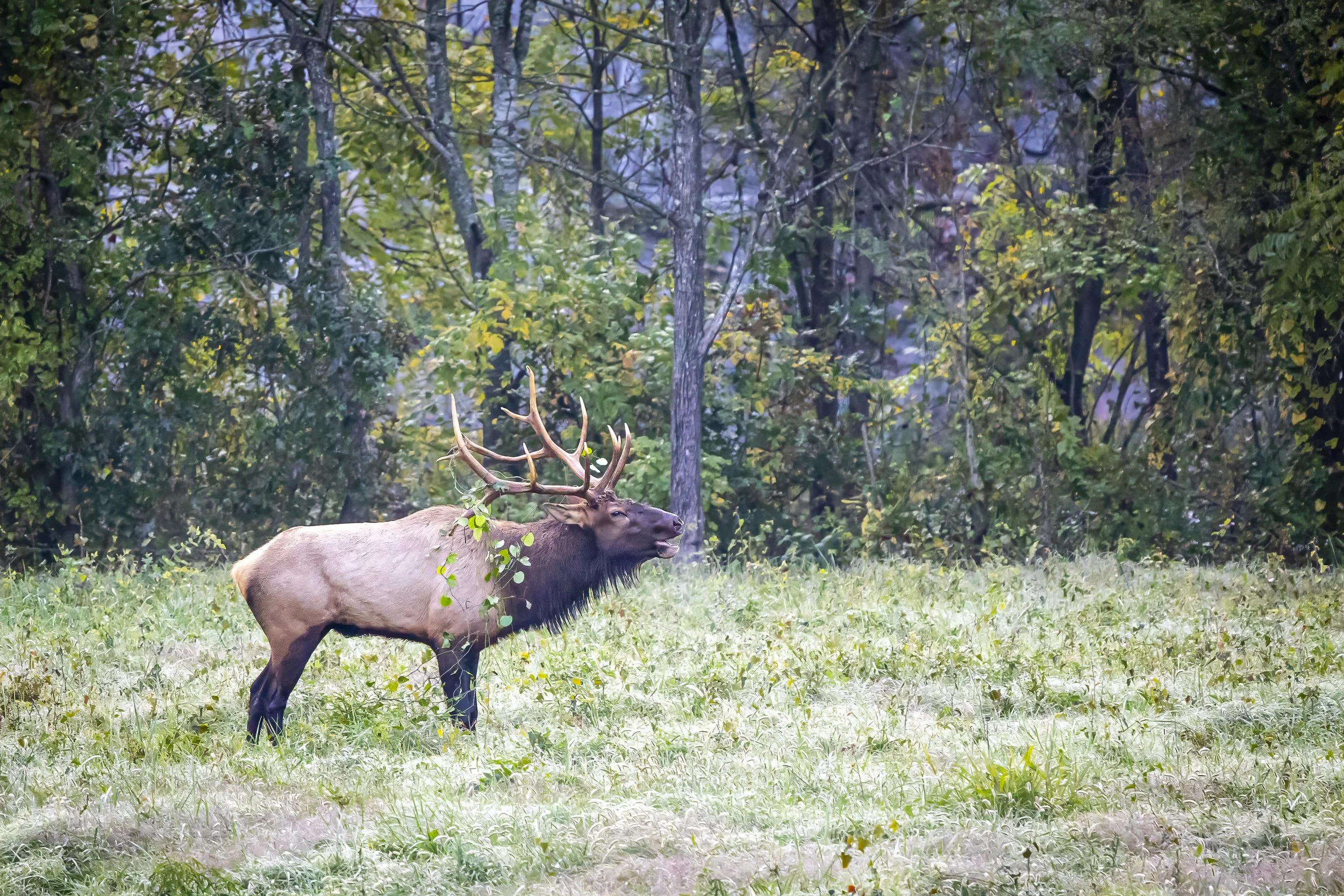 Boxley Valley, AR