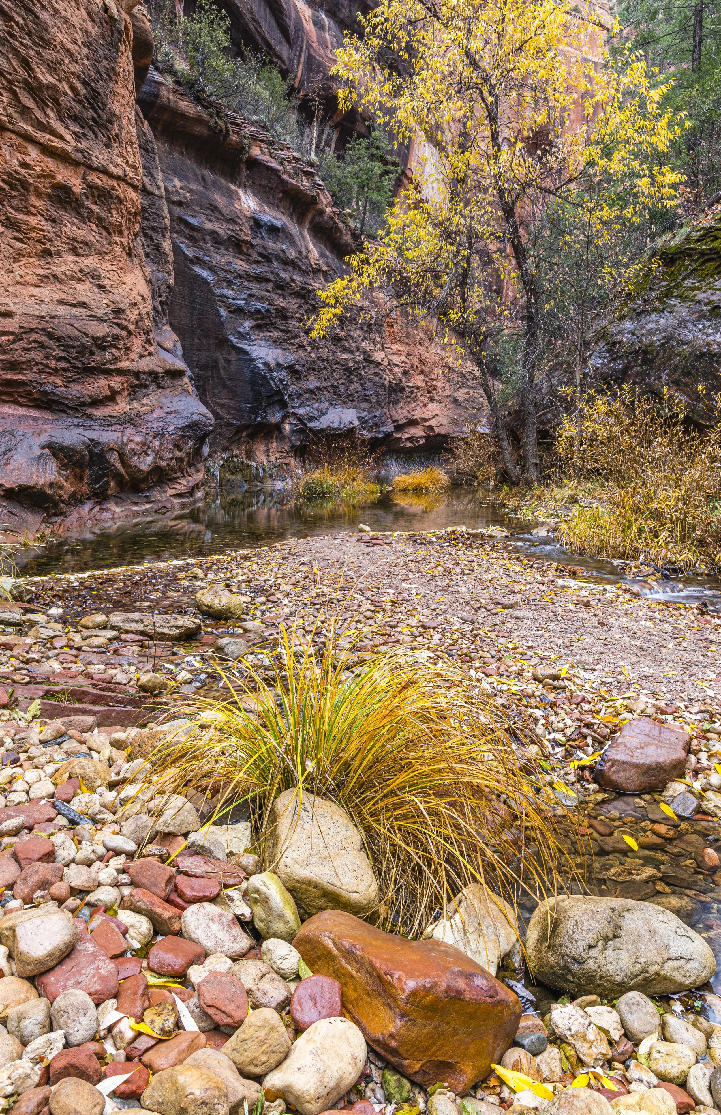 Sedona, AZ