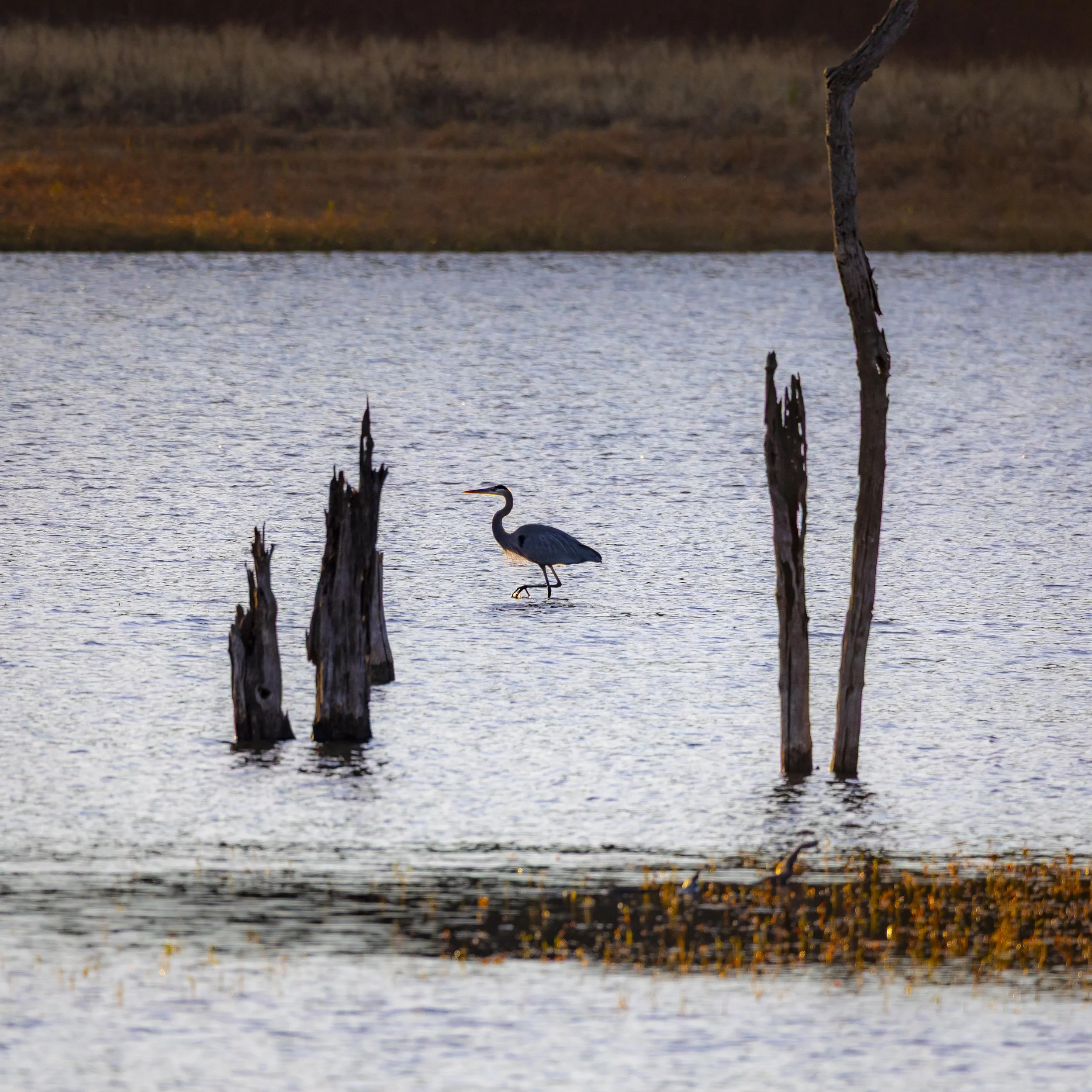 Lake Flint Creek - Gentry, AR