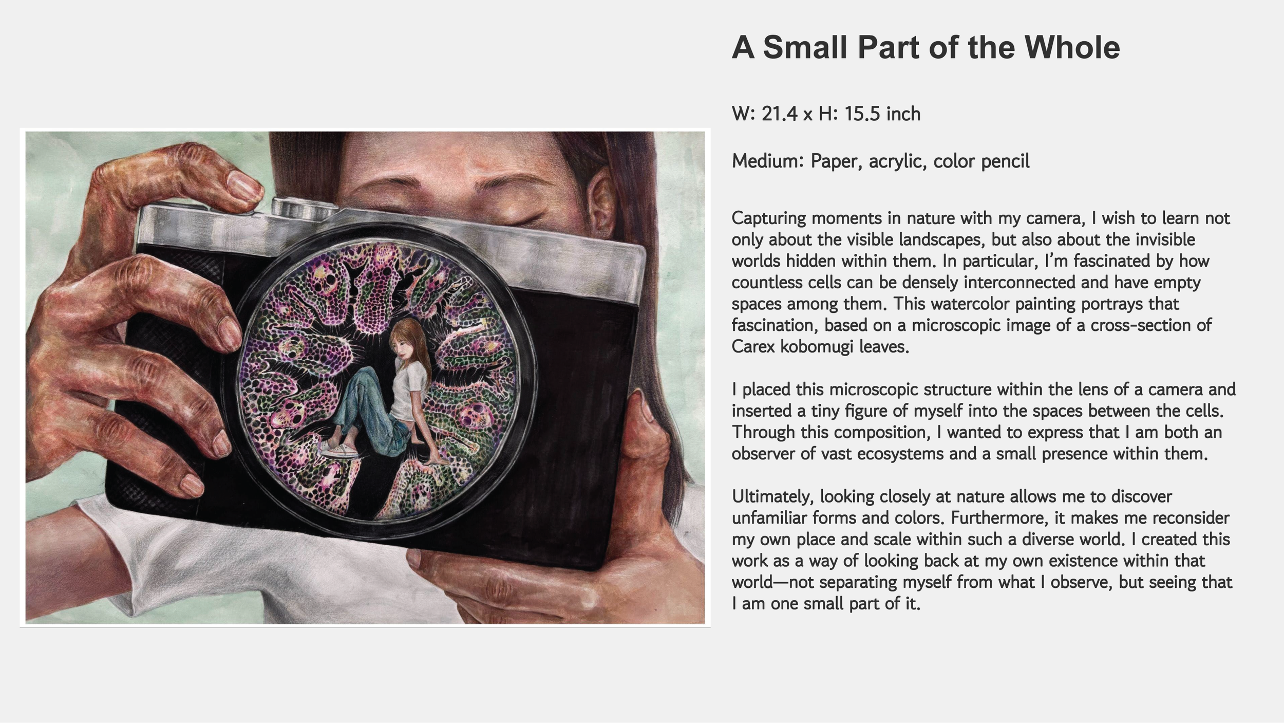 SeonHye Ma - Art Portfolio-03.png