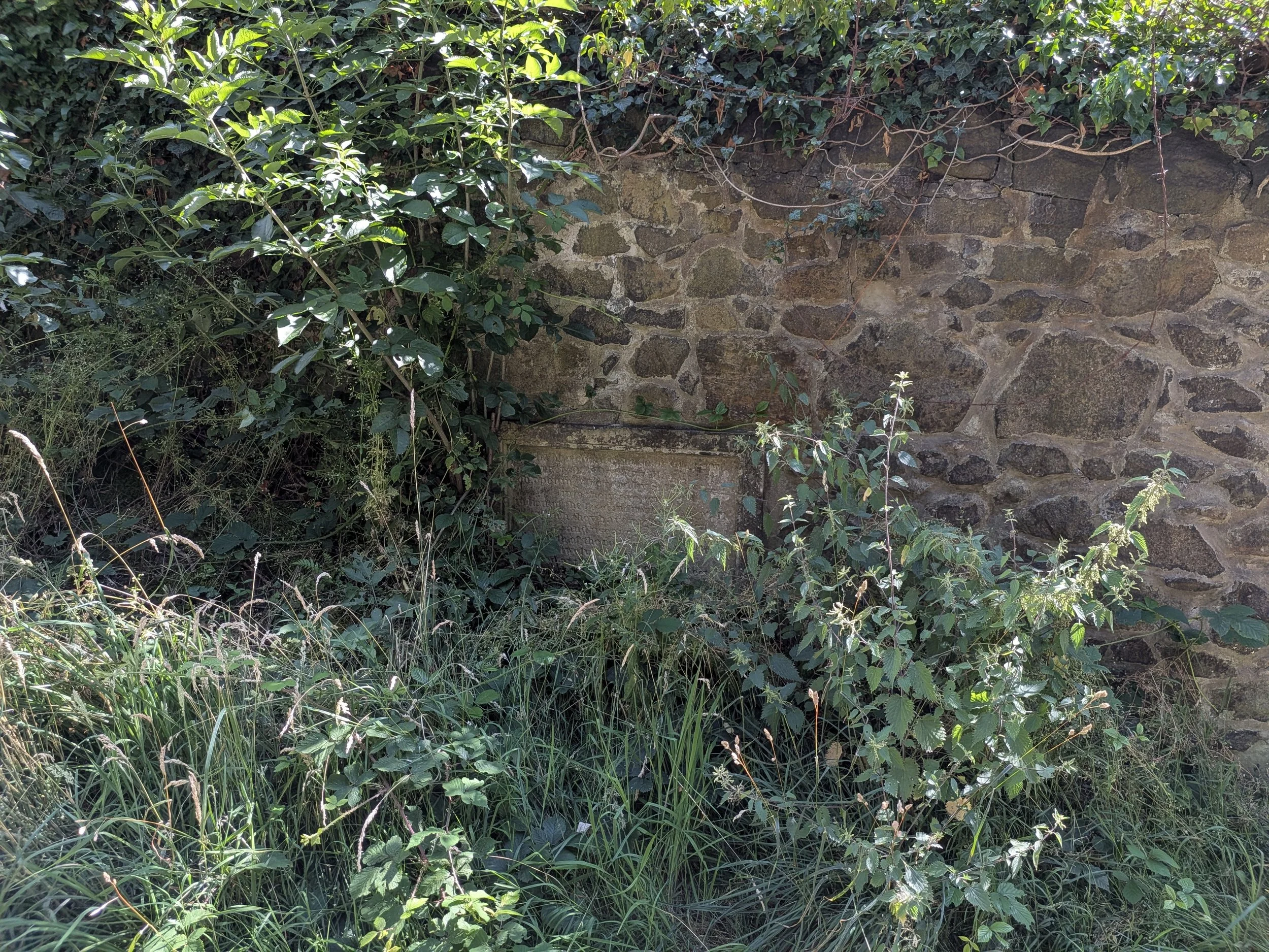 PXL_20260725_142828244.jpg