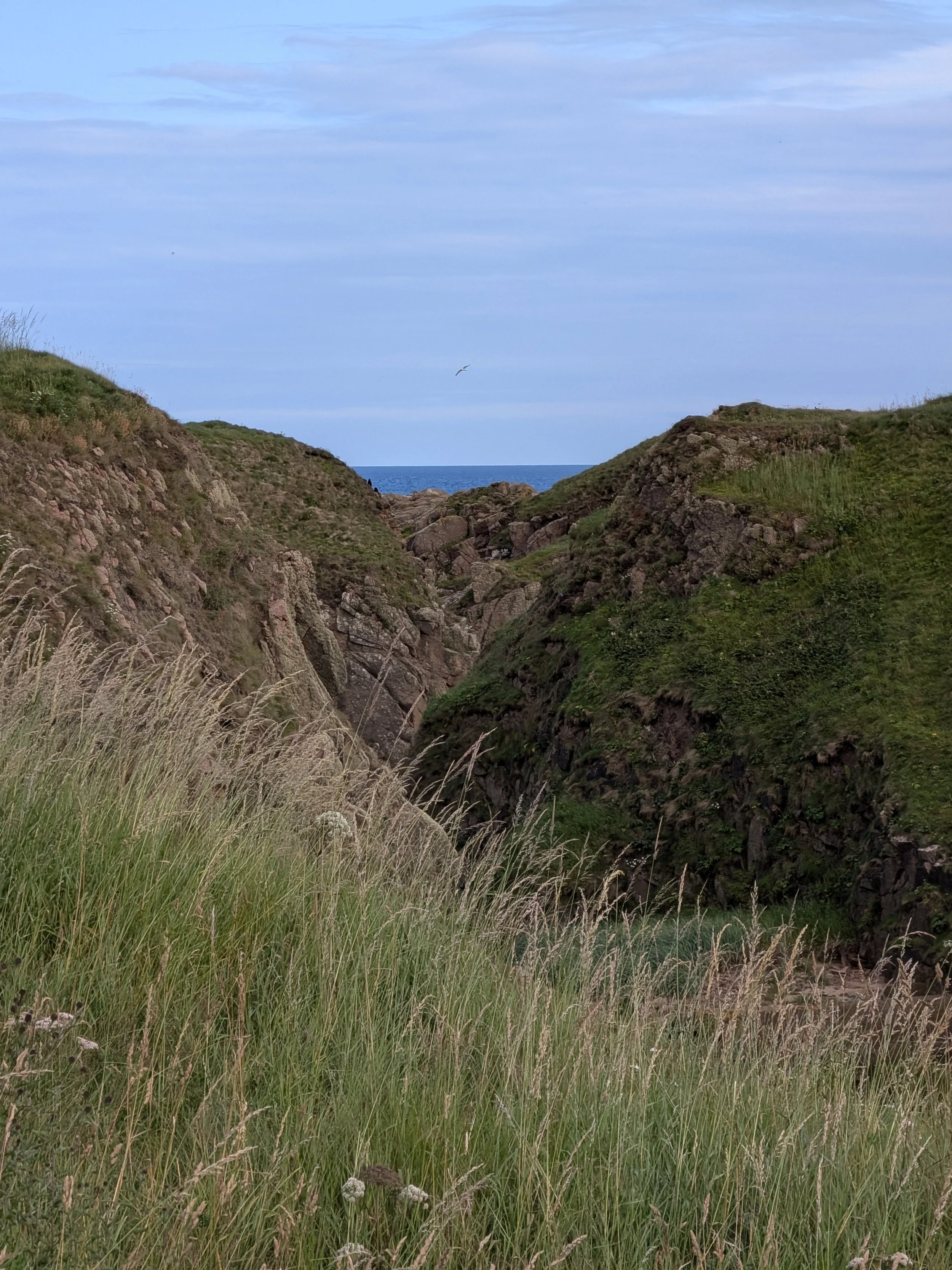 PXL_20260726_165622425.jpg