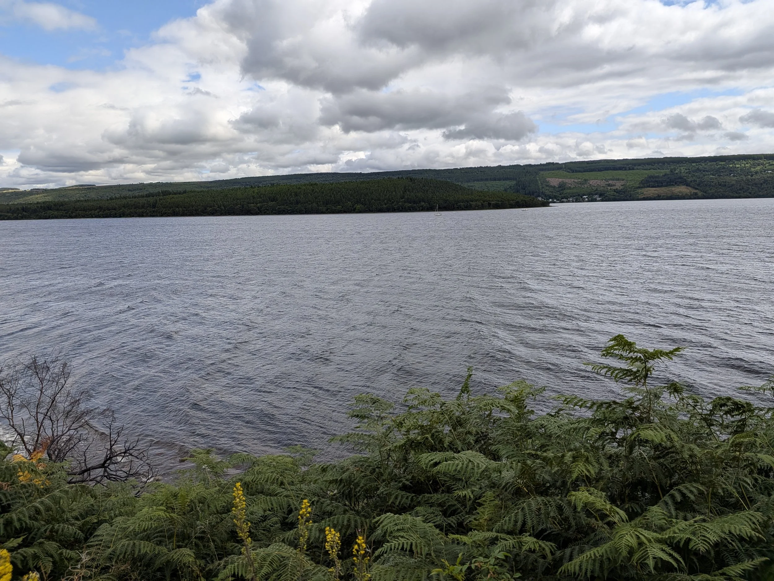 PXL_20260727_124007134.jpg