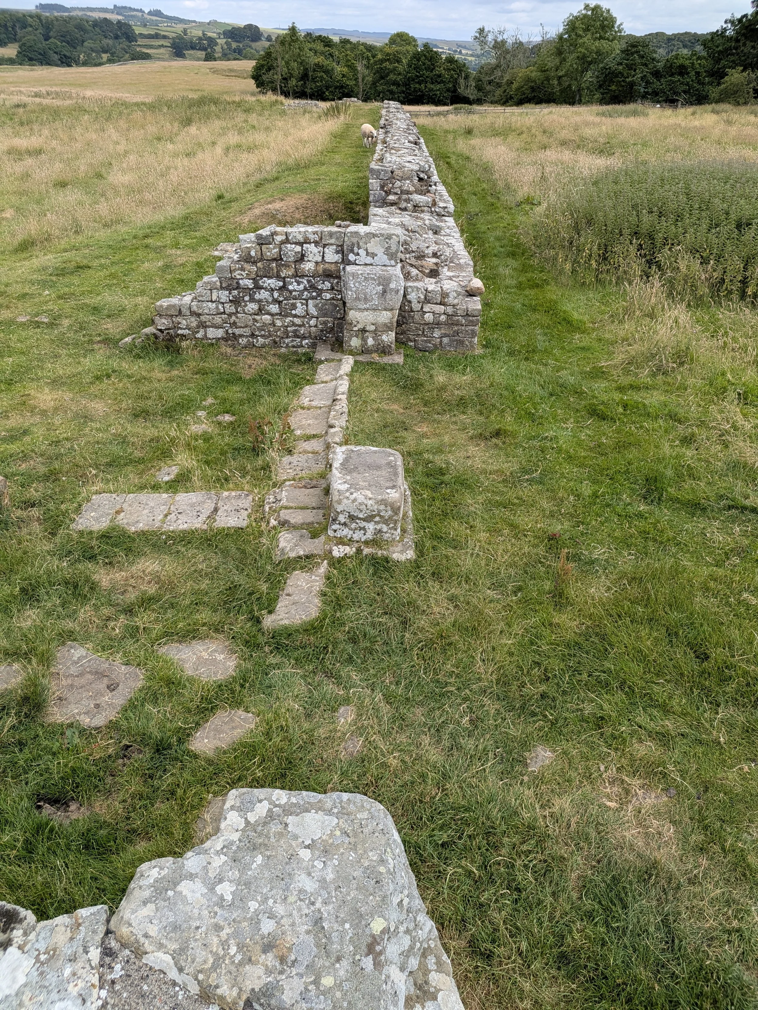 PXL_20260723_115423354.jpg