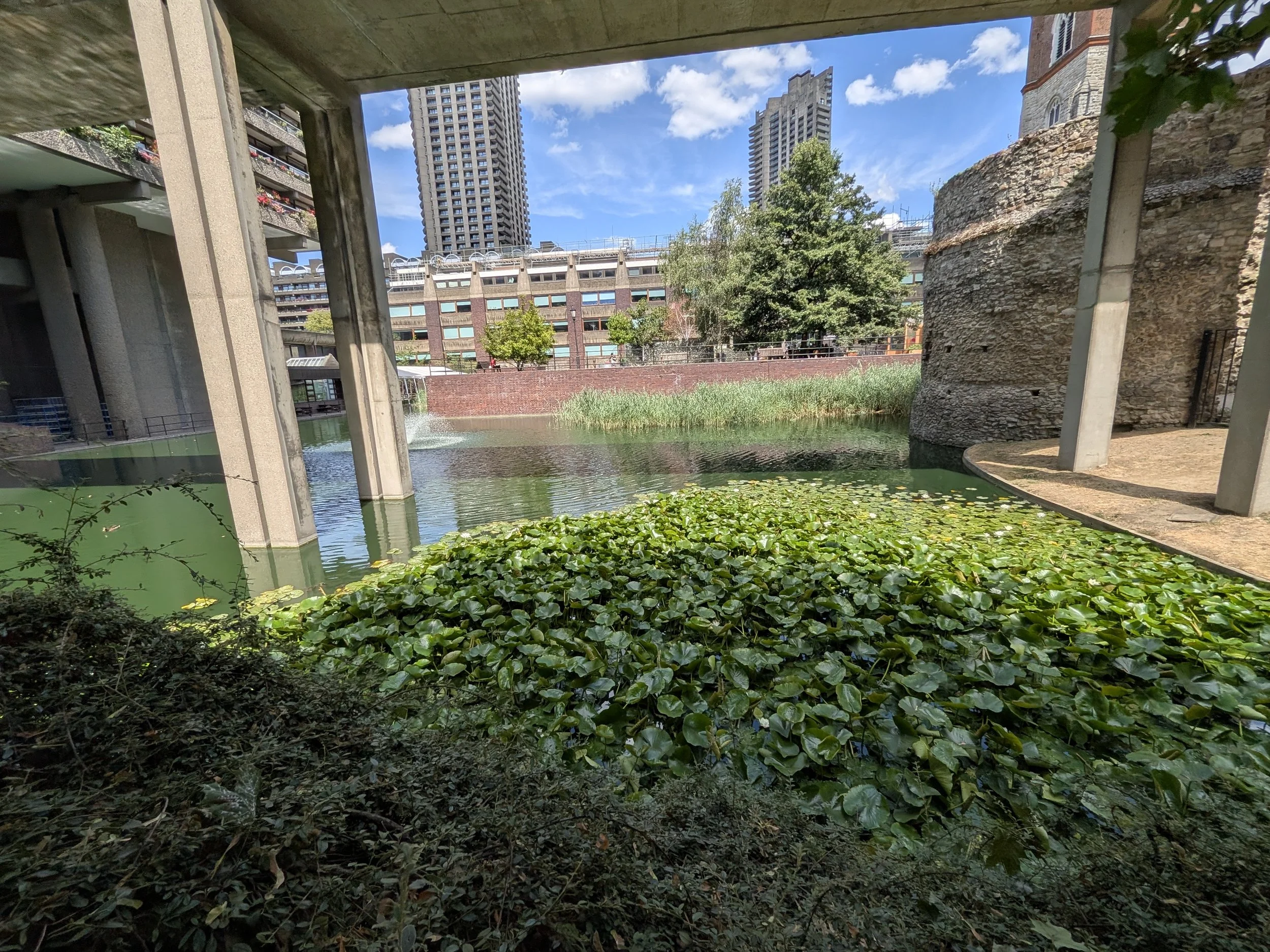 PXL_20260801_121932699.jpg