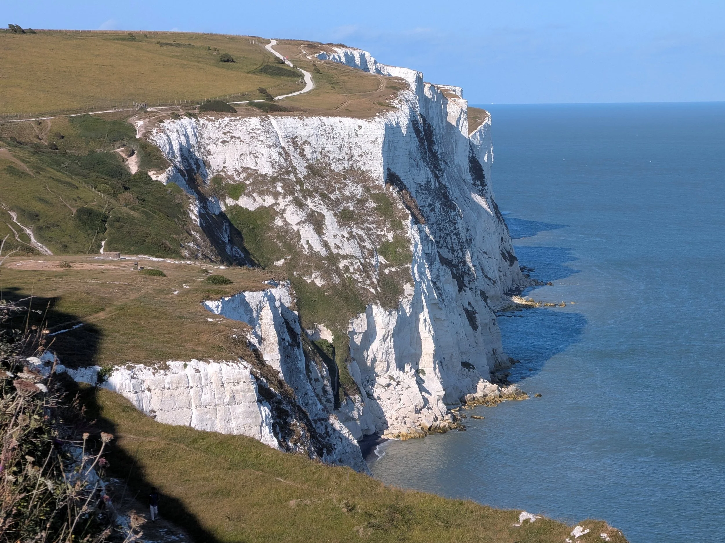 Dover
