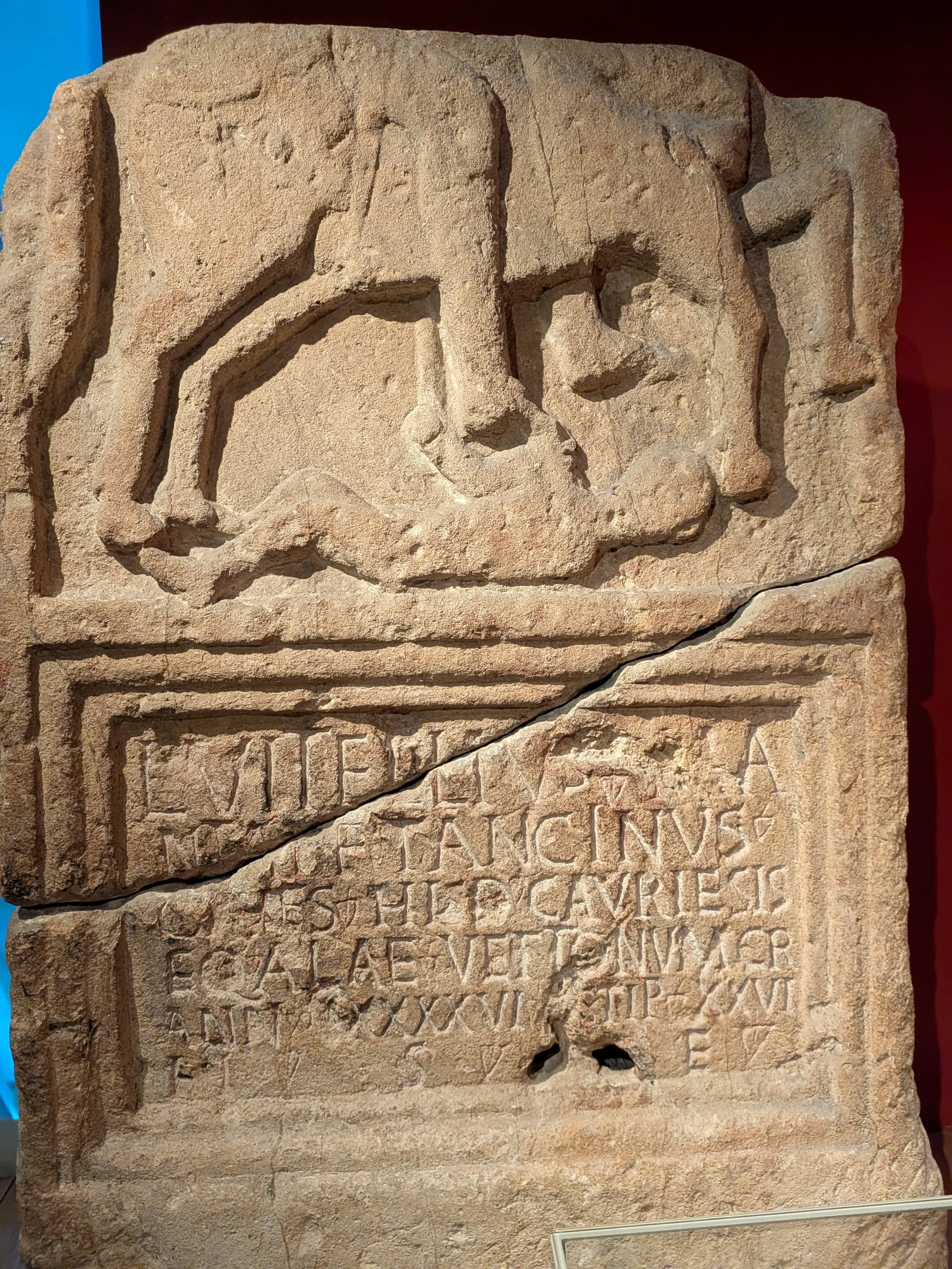 PXL_20260730_095631218.jpg