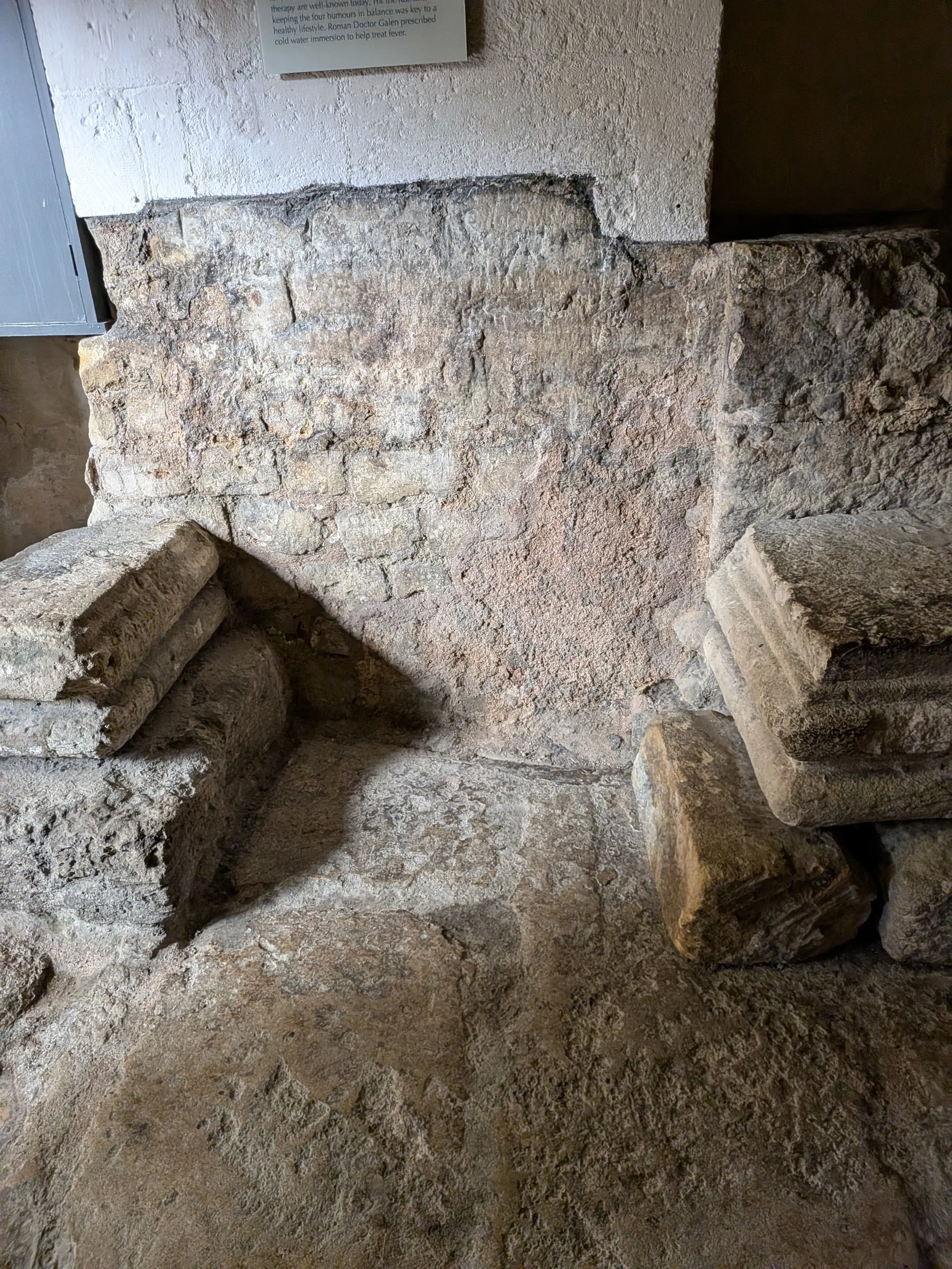 PXL_20260730_100801753.jpg