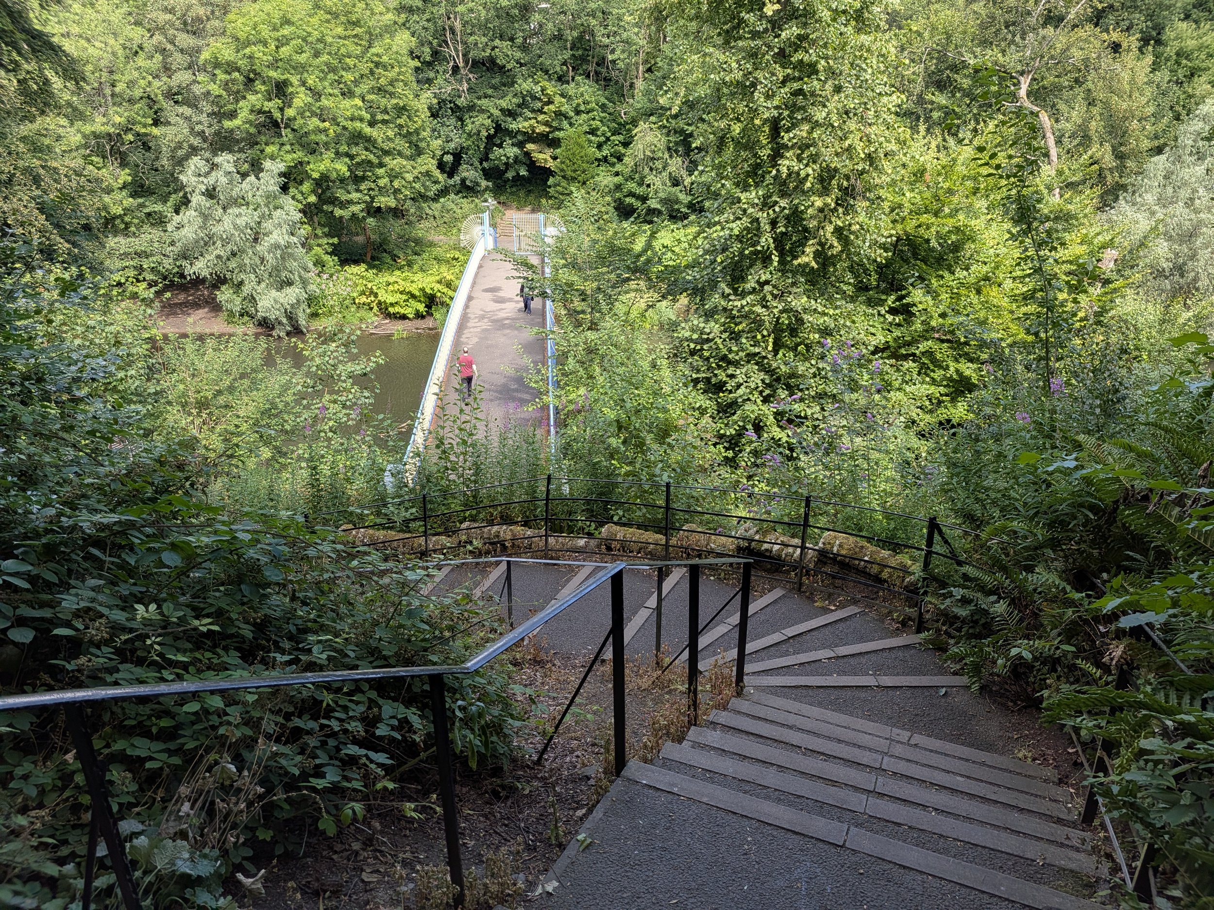 PXL_20260725_123154050.jpg