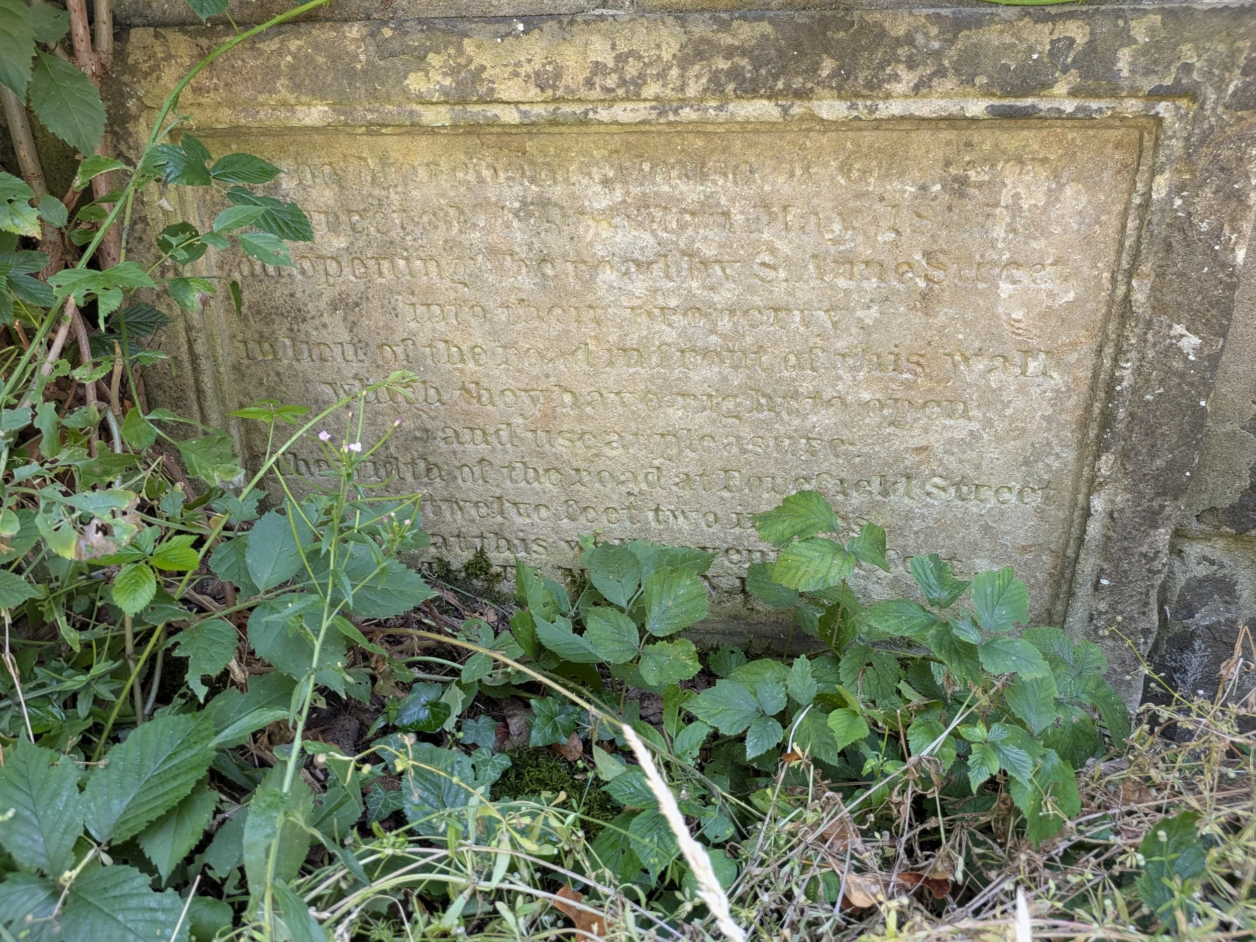 PXL_20260725_142823350.jpg