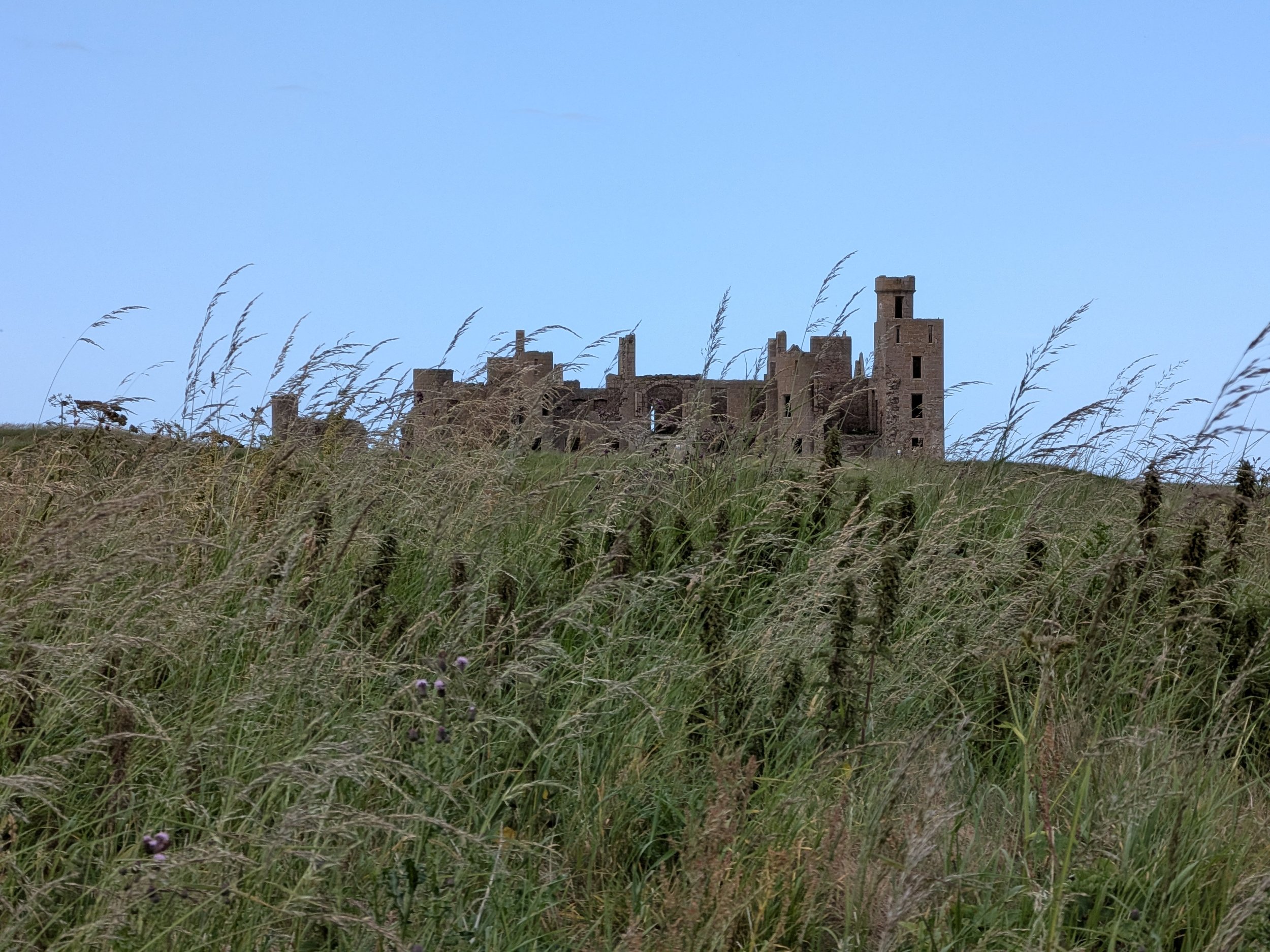PXL_20260726_170632520.jpg