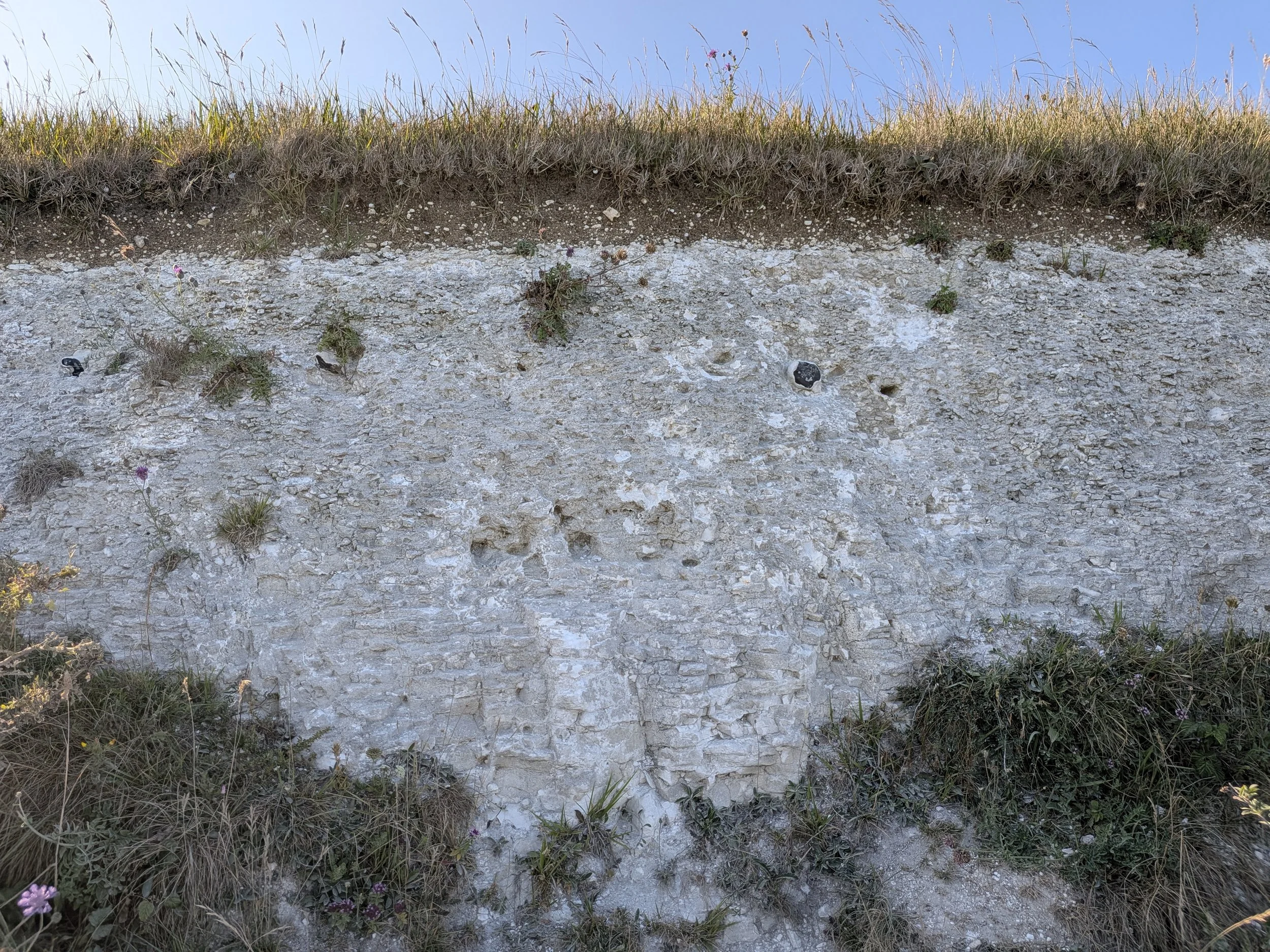 PXL_20260720_165652949.jpg