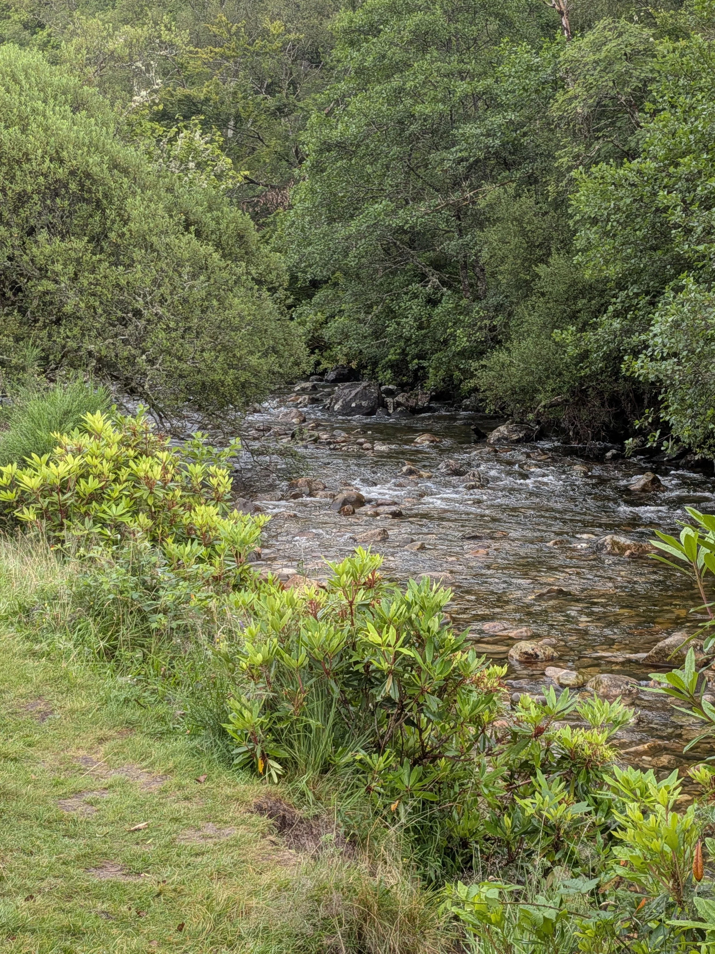 PXL_20260727_154532057.jpg