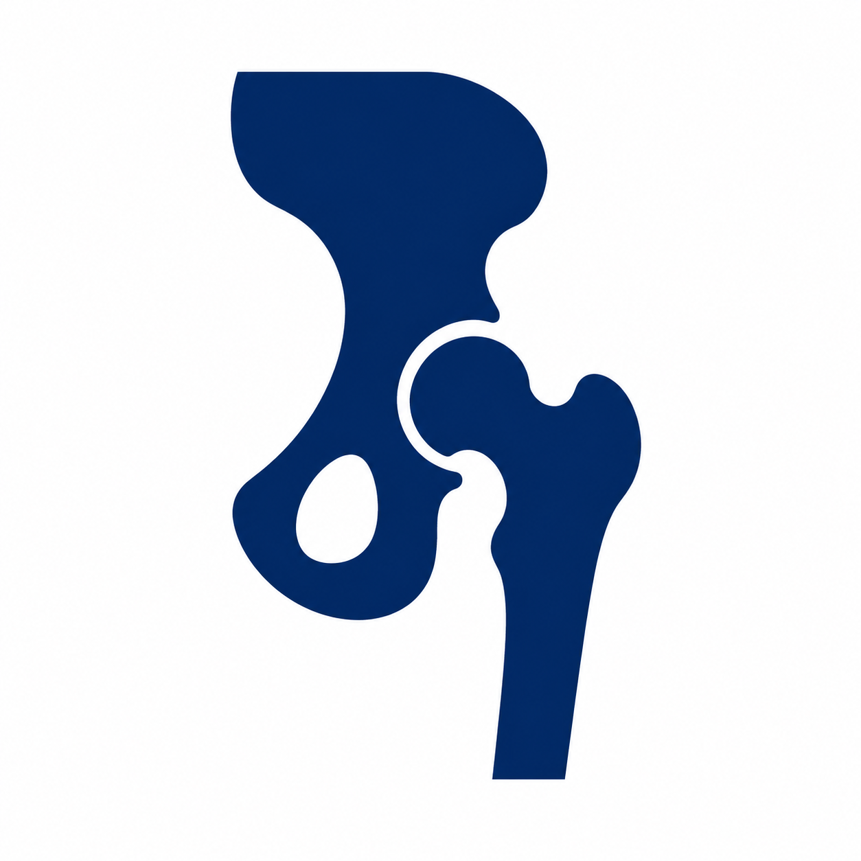 Stylized blue and white illustration of a hip joint and pelvis.