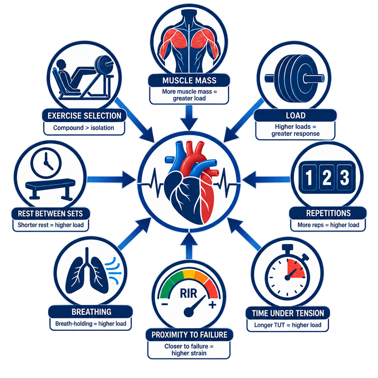 Diagram illustrating factors affecting heart health, including muscle mass, exercise selection, load, repetitions, rest between sets, breathing, time under tension, proximity to failure, and RIR, with labels explaining each factor's impact on load or strain.
