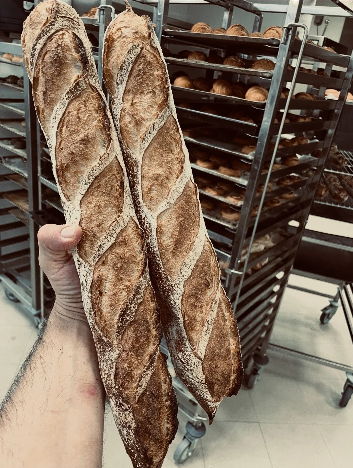 Bakery Improvement