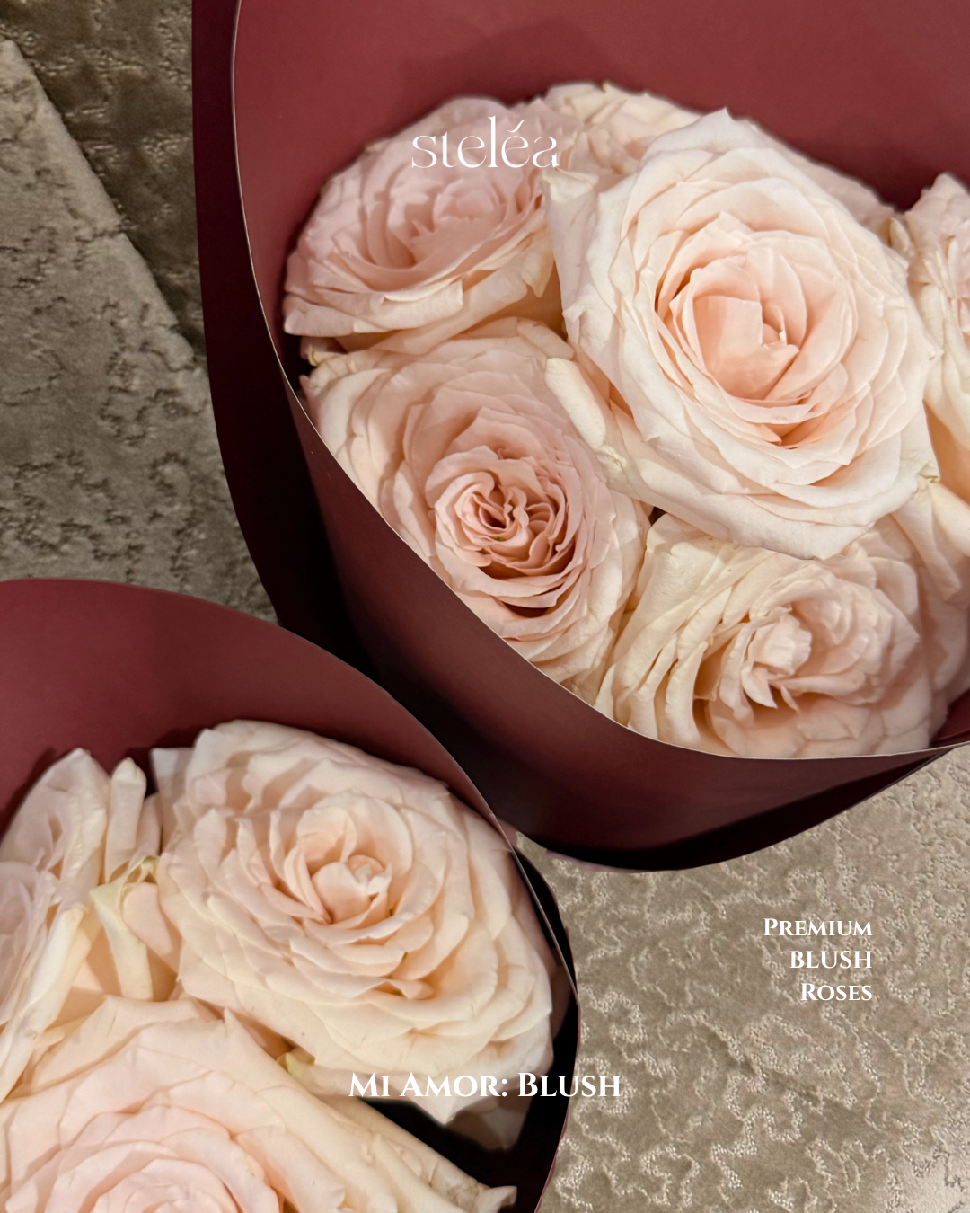 Mi Amor: Blush