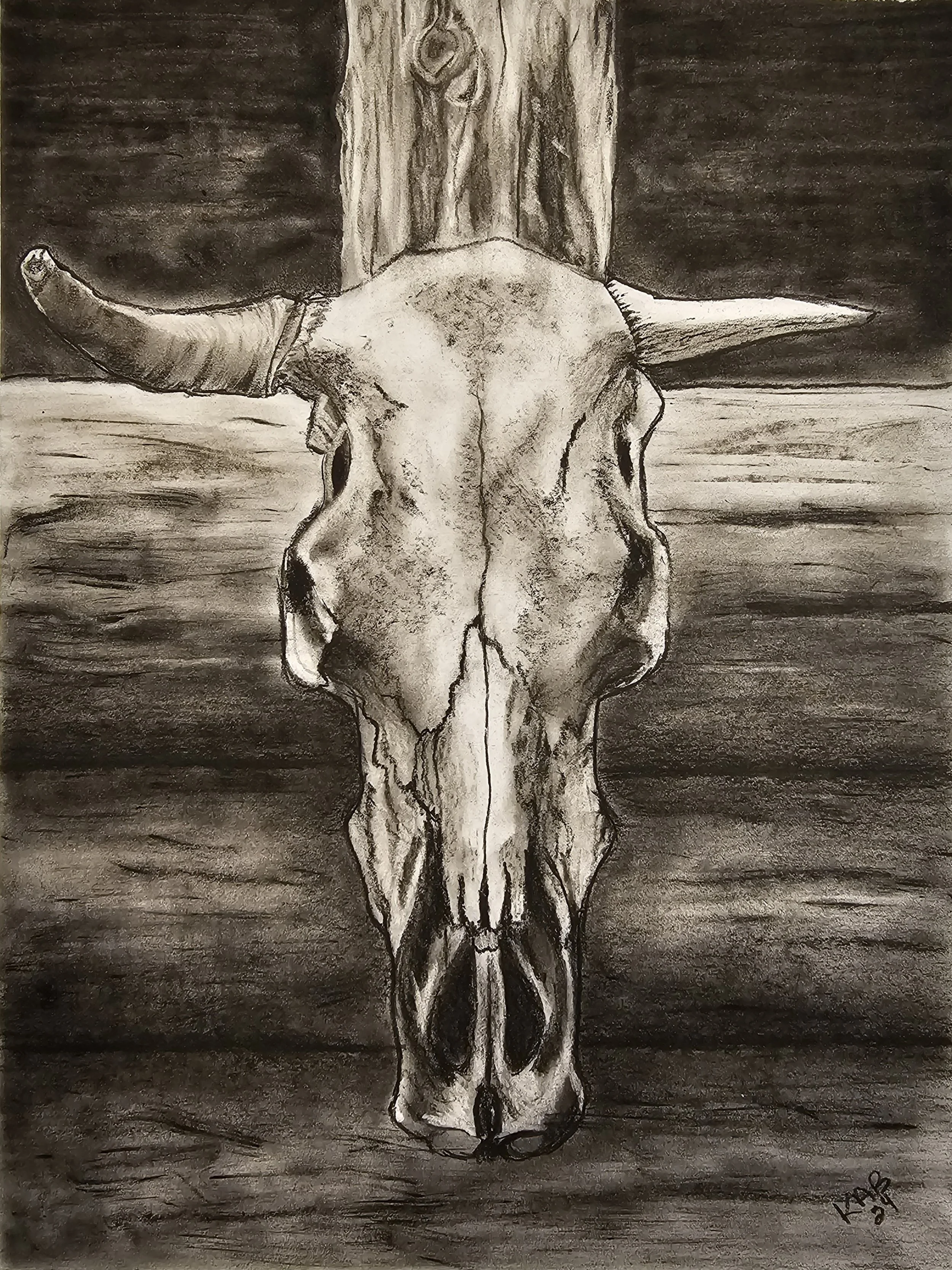 A black and white drawing of a cow skull with horns, hanging vertically against a dark background with wooden texture.