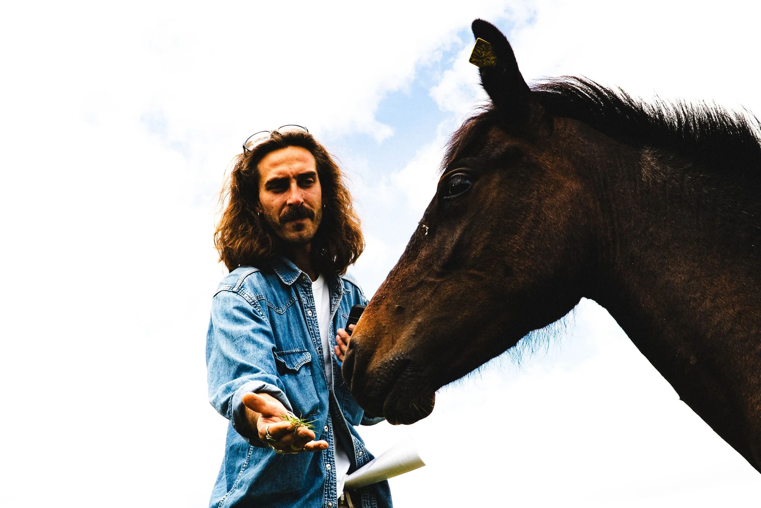 Un homme avec des cheveux longs et une moustache, portant une chemise en denim, tient une branche dans une main et caresse un cheval. Le cheval incline sa tête vers l'homme. Le ciel est partiellement nuageux.
