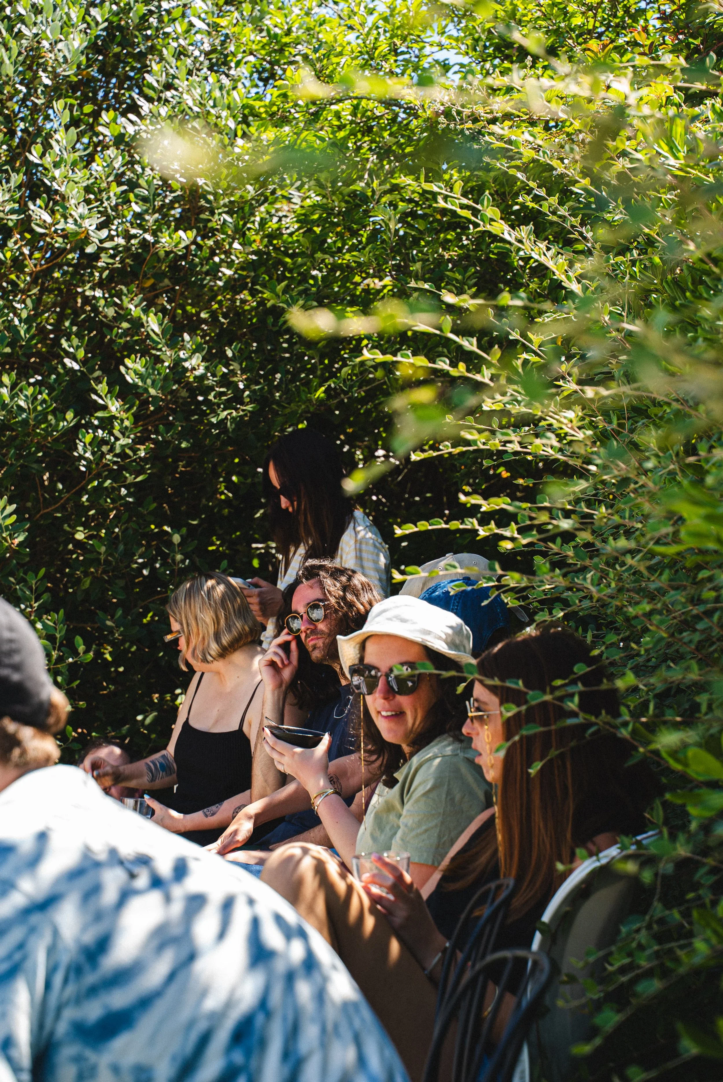 Groupe de personnes assises en plein air parmi des buissons verts, certaines portant des lunettes de soleil, discutant et utilisant leurs téléphones. Il fait beau et ensoleillé.