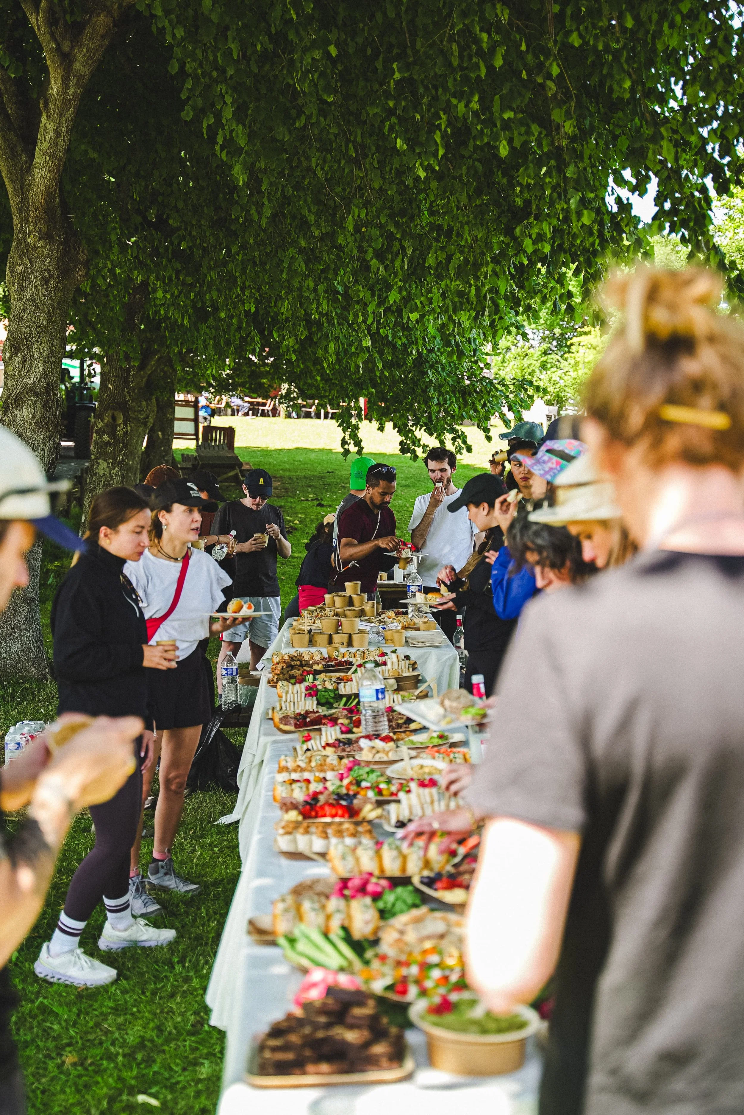 Un groupe de personnes faisant la queue pour un buffet en plein air sous de grands arbres, avec des plats de nourriture variée sur la table.