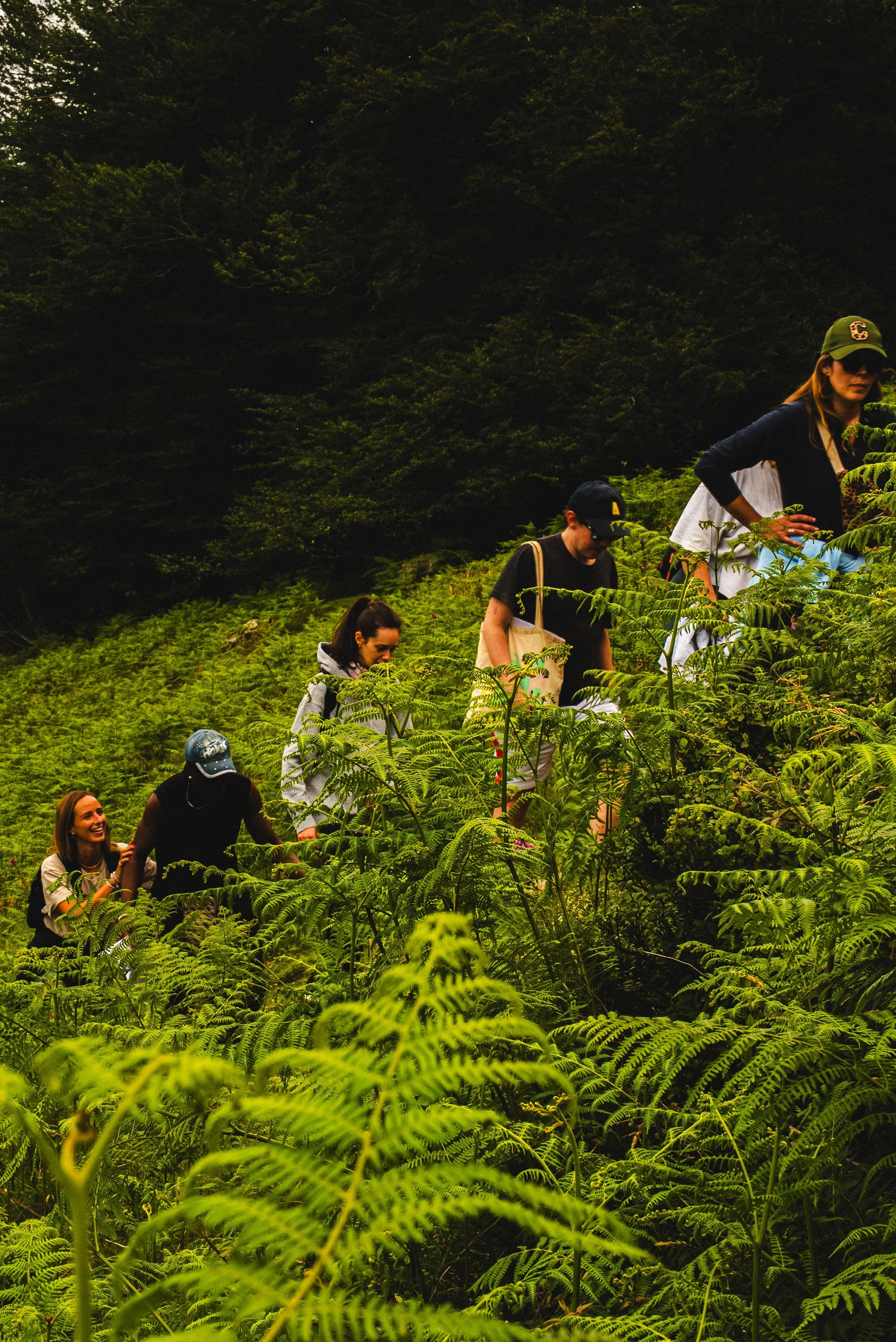 Groupe de personnes marchant à travers une forêt luxuriante, observant la végétation, lors d'une excursion en plein air.