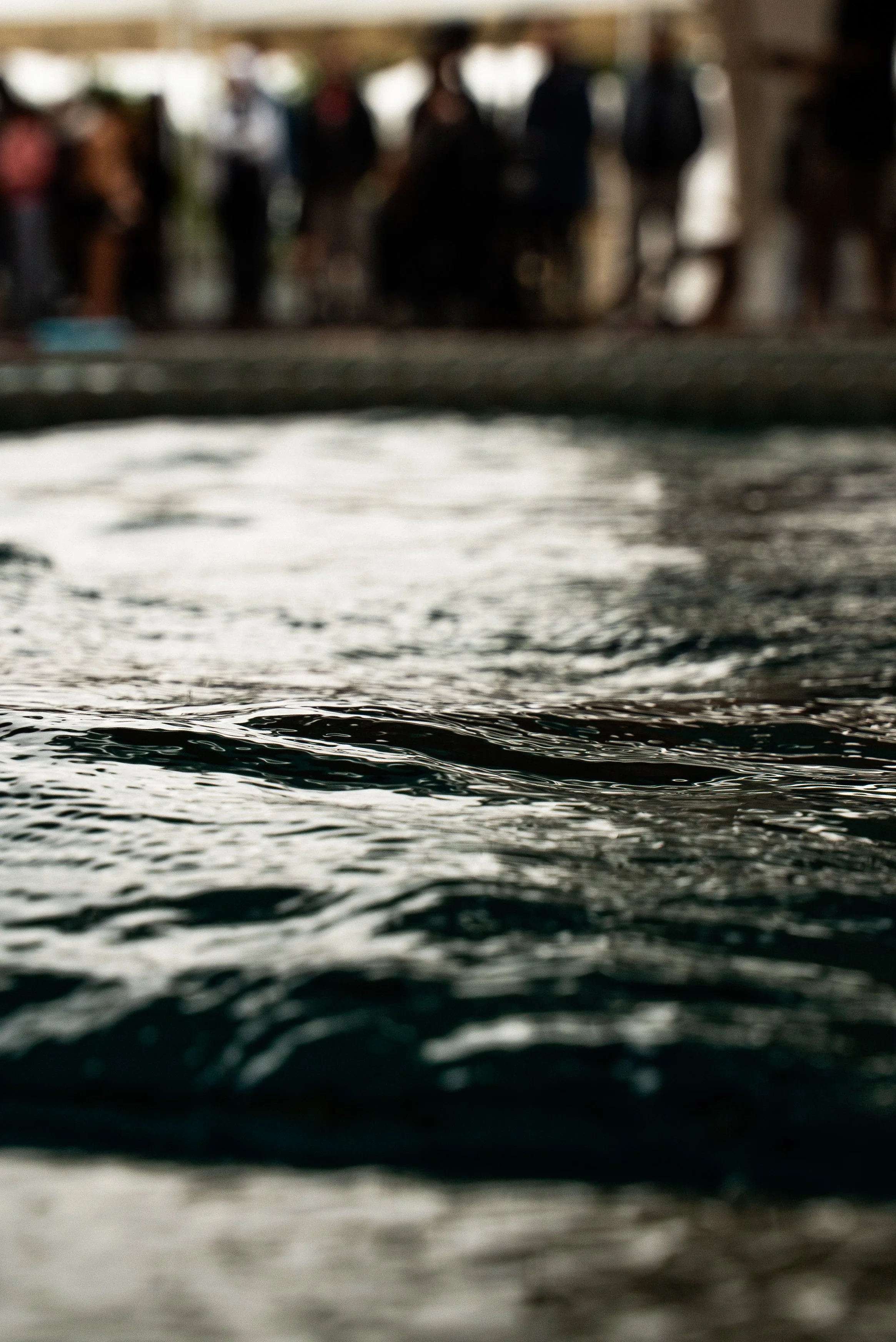 WHR - Water Hybrid Race_Retouche_WHR - Retouché_HYP01431.jpg