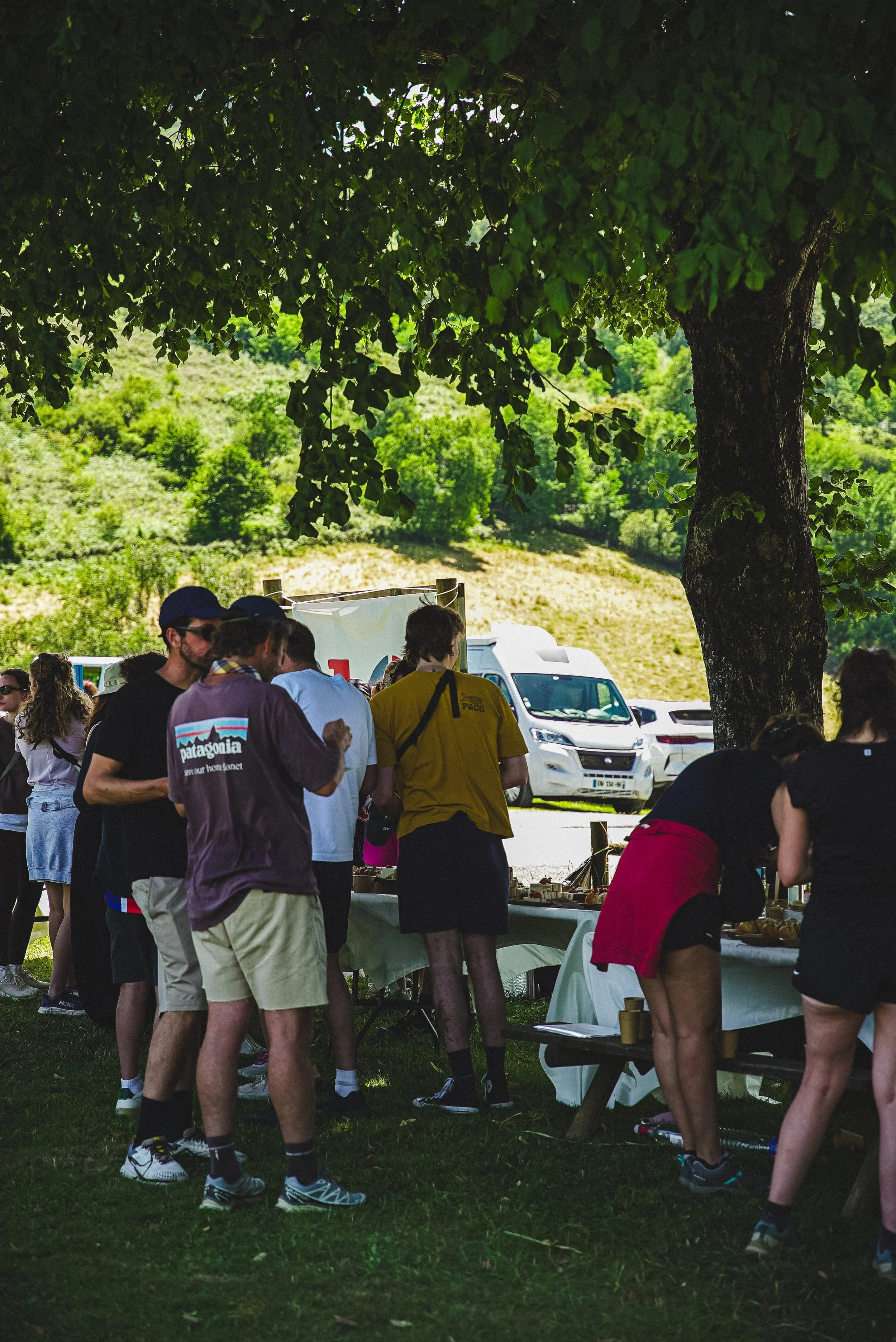 Un groupe de personnes en train de faire la queue devant des tables où sont exposés des produits, dans une aire de pique-nique ombragée par un arbre, avec un paysage rural en arrière-plan