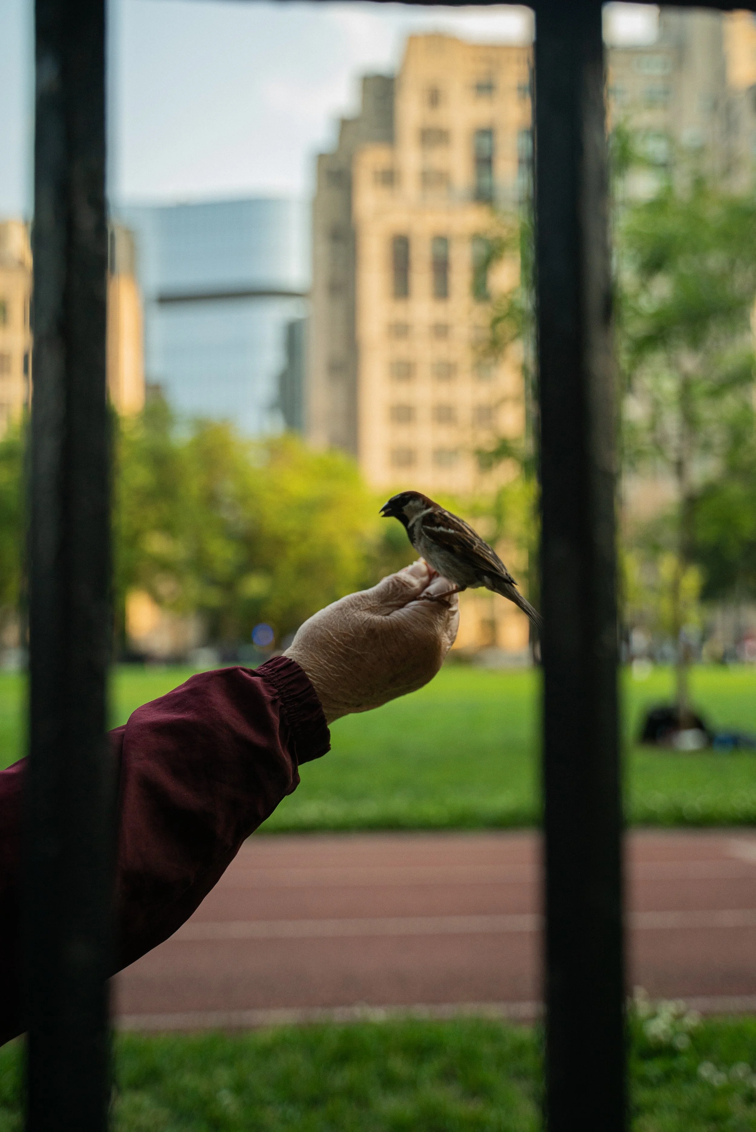 Photos personnelles_Chicago_Chicago 2 retouché __HYP6717.jpg