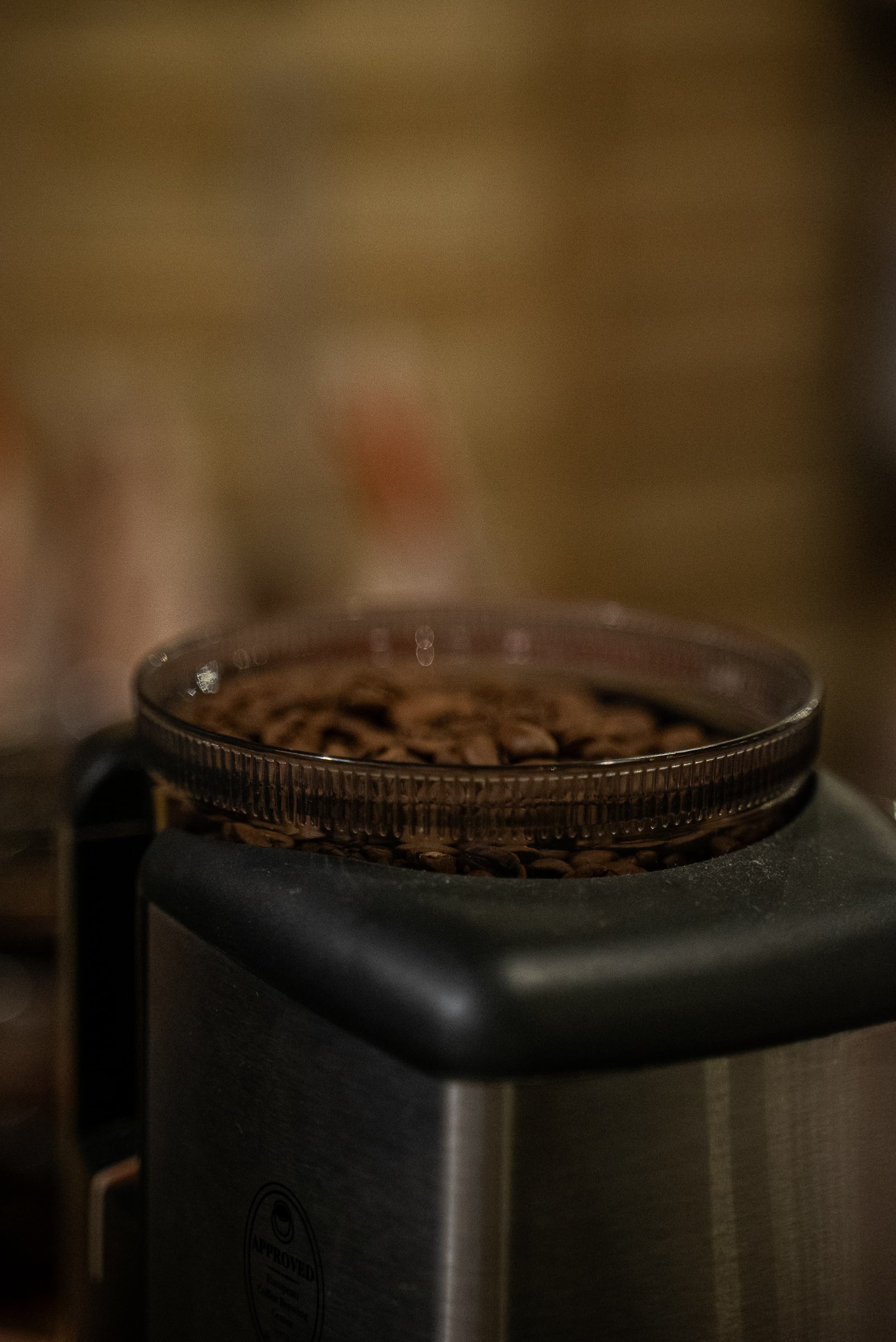 Une cafetière électrique avec du café moulu à l'intérieur.