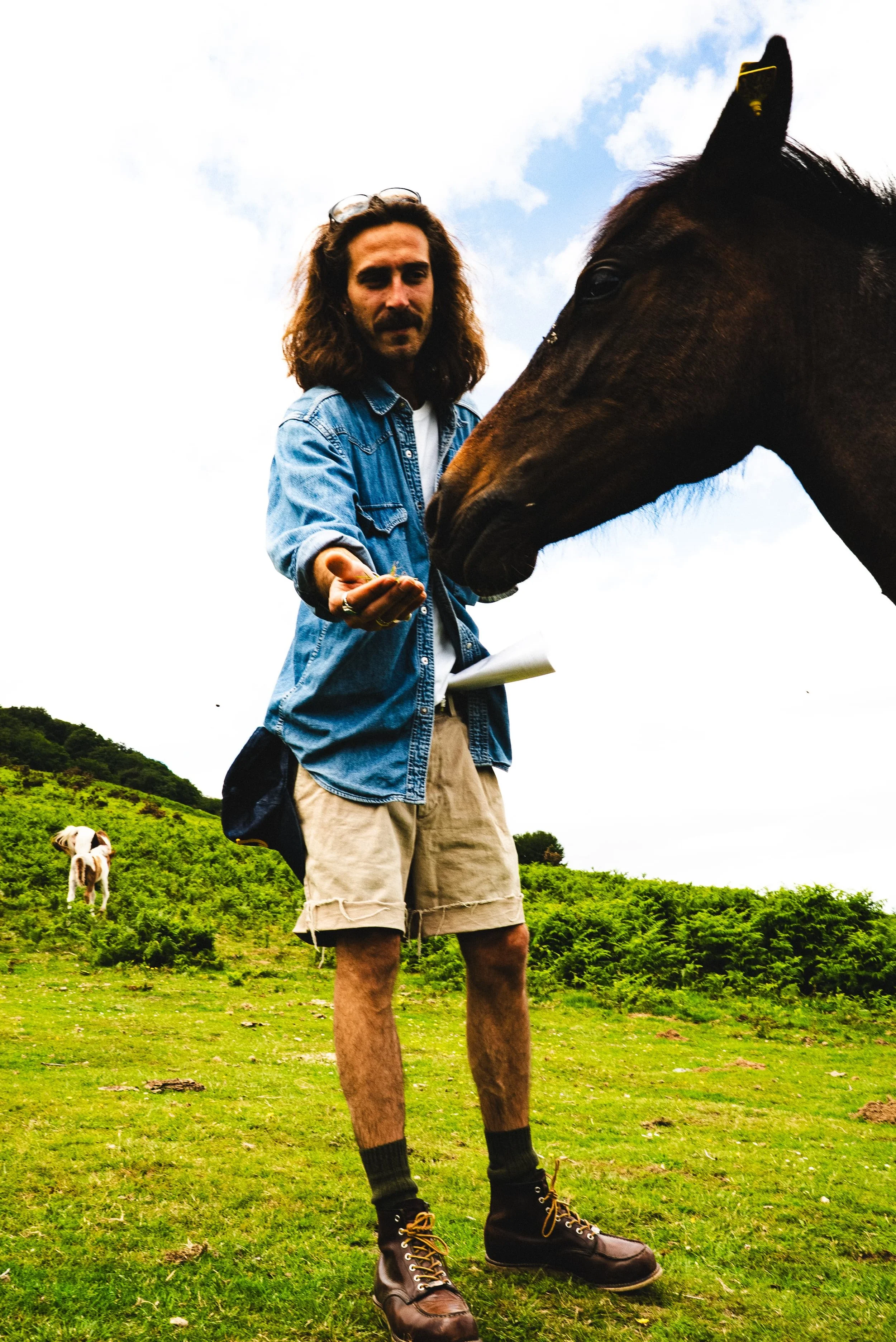 Un homme avec un sweat, des shorts et des bottes en train de nourrir un cheval dans un champ vert under un ciel nuageux. Un chien est visible en arrière-plan dans la prairie.