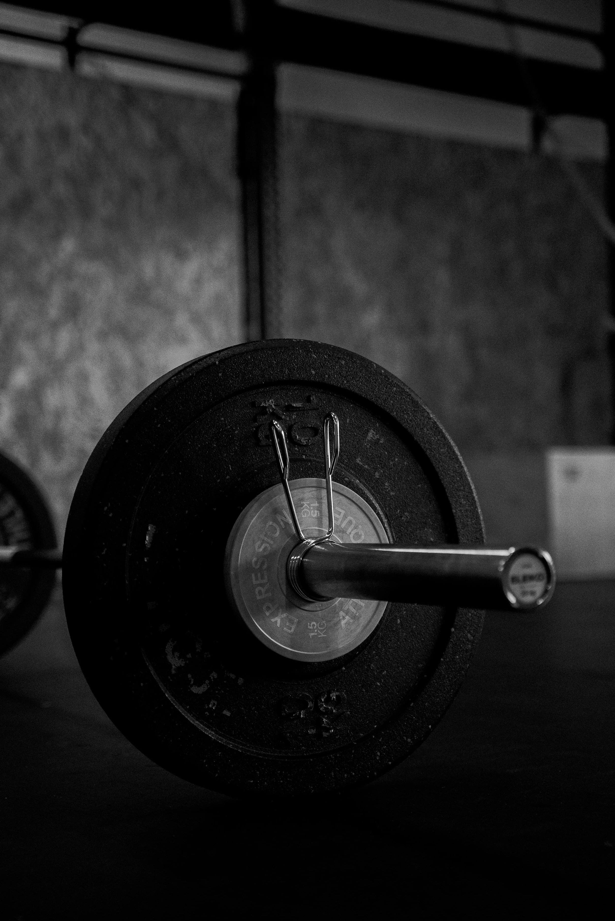 Poids pour la musculation avec haltère posé dessus, en noir et blanc.