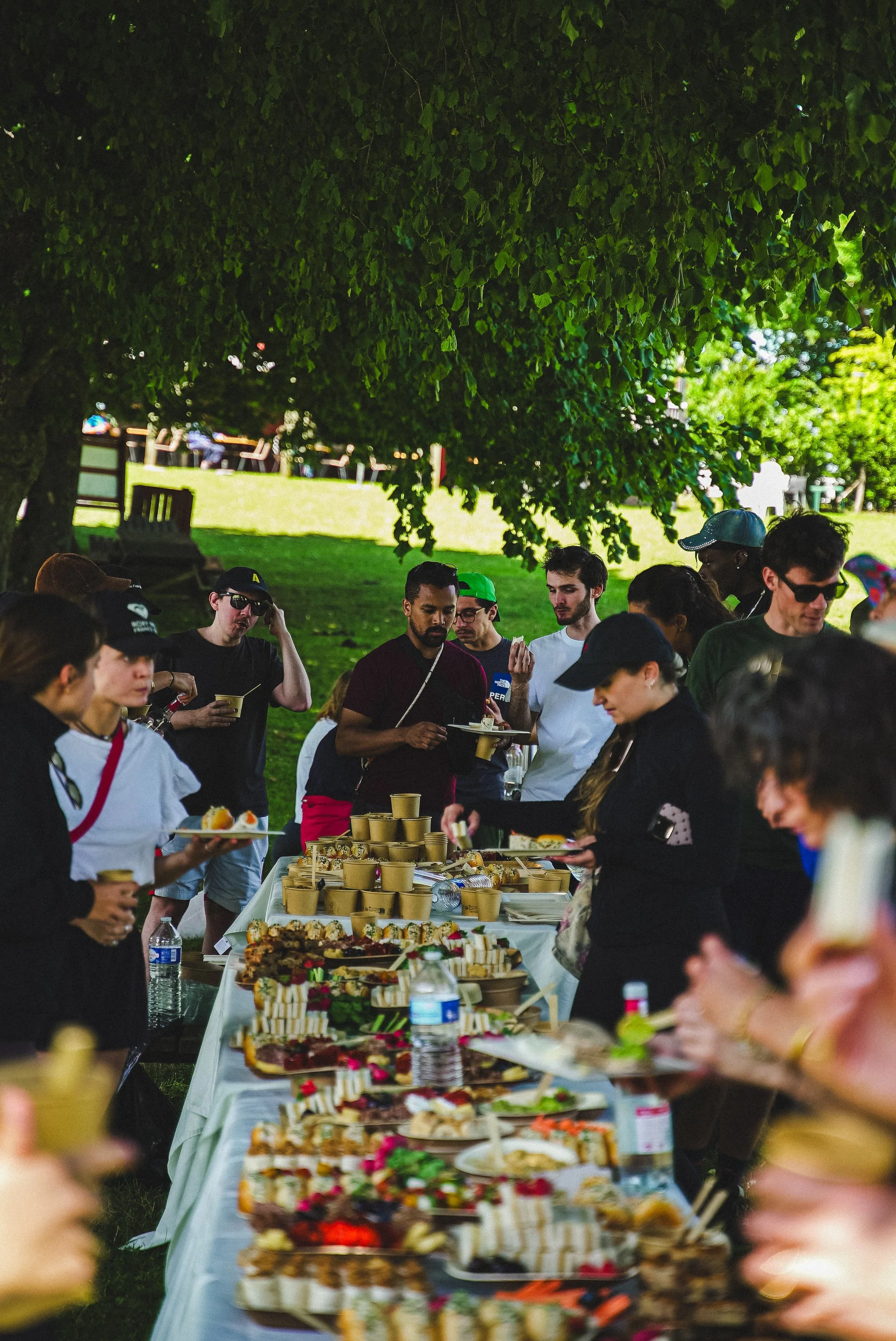 Groupe de personnes lors d'un pique-nique ou d'un repas en plein air sous un arbre vert, avec un buffet de plats variés sur une longue table blanche.