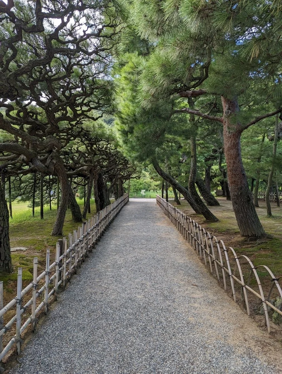A gravel pathway lined with small wooden fences on each side, leading through a park with lush, green trees that form a canopy overhead.