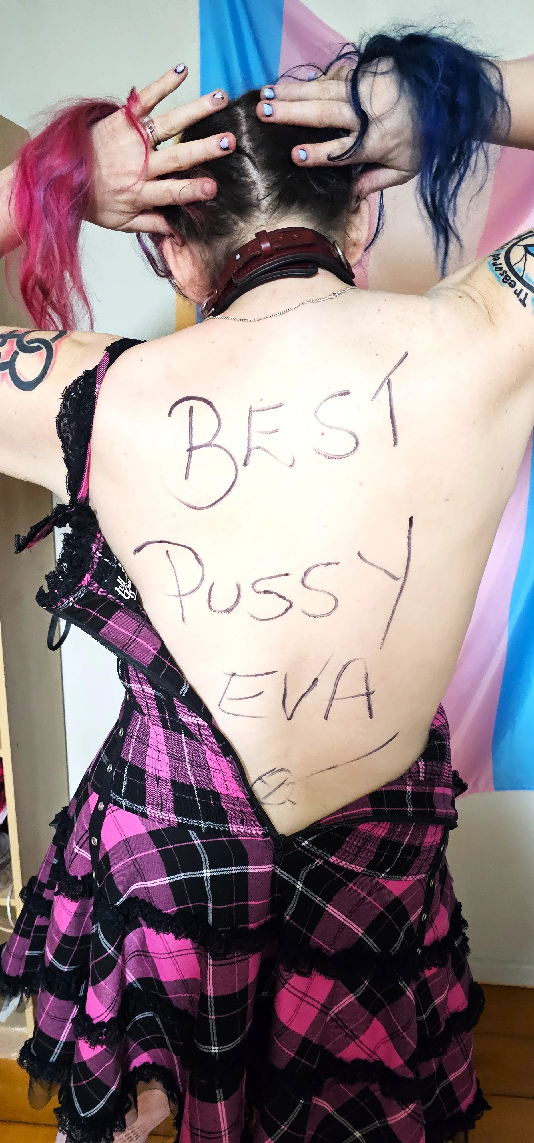 Back of a woman with pink and blue hair, wearing a pink plaid dress, with "BEST PUSSY EVA" written on her back in large black letters, holding her hair with both hands.